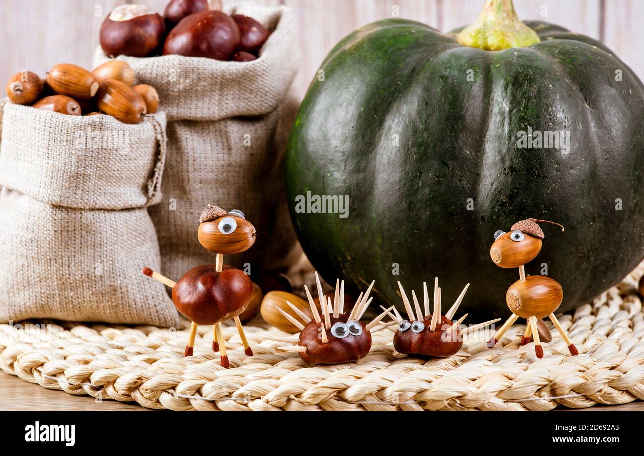 Divertente concept di artigianato d'autunno. Utilizzo di castagne di cavalli e ghiande di quercia autunno per fare animali divertenti, riccio, cavallo. Moscata di Provenza sullo sfondo. Foto Stock