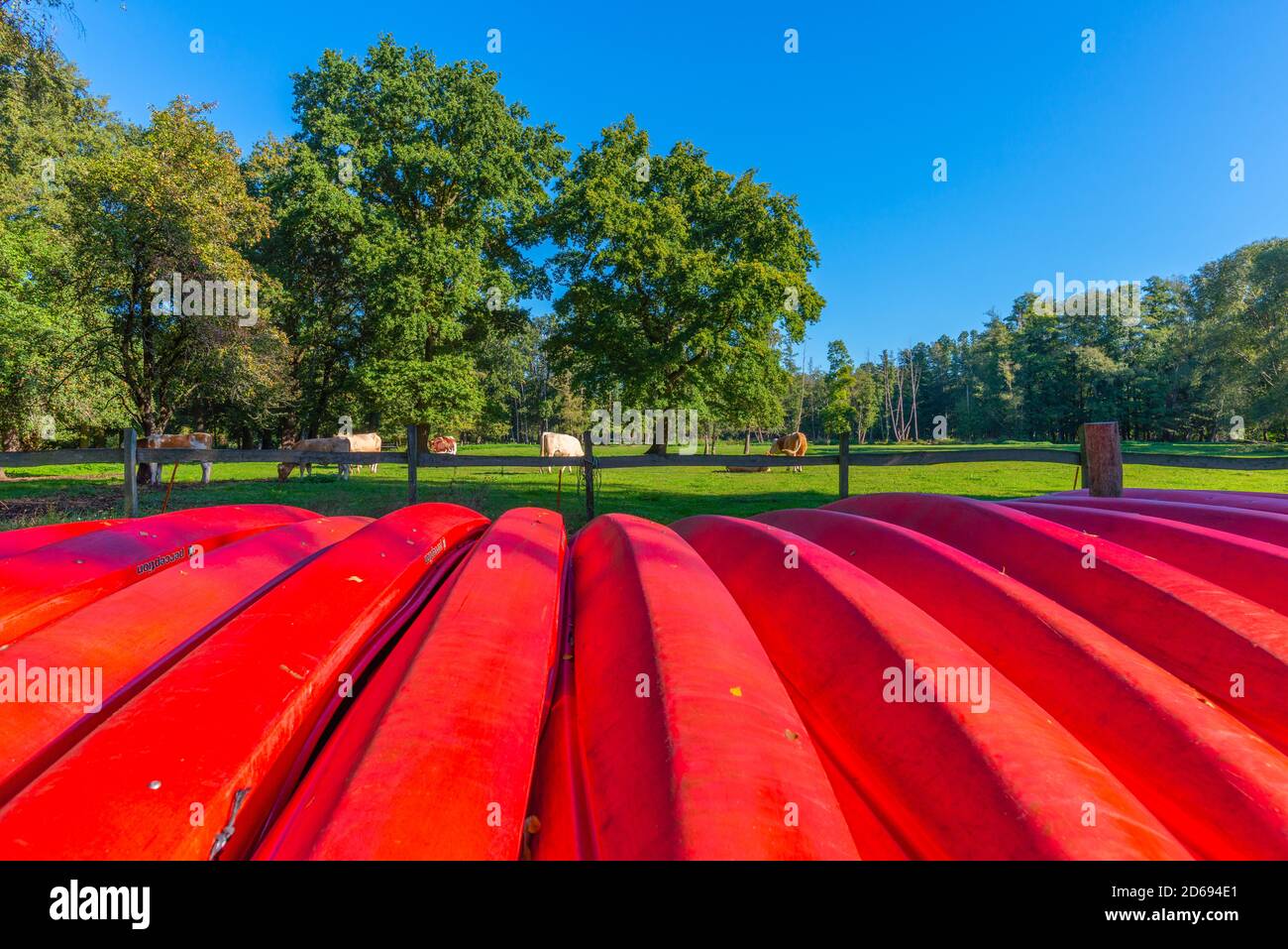 Kleiner Spreewaldhafen, Little Spree Harbour Burg, Oberspreewald, Foresta di Sprea, Brandeburgo, Germania orientale, Europa Foto Stock