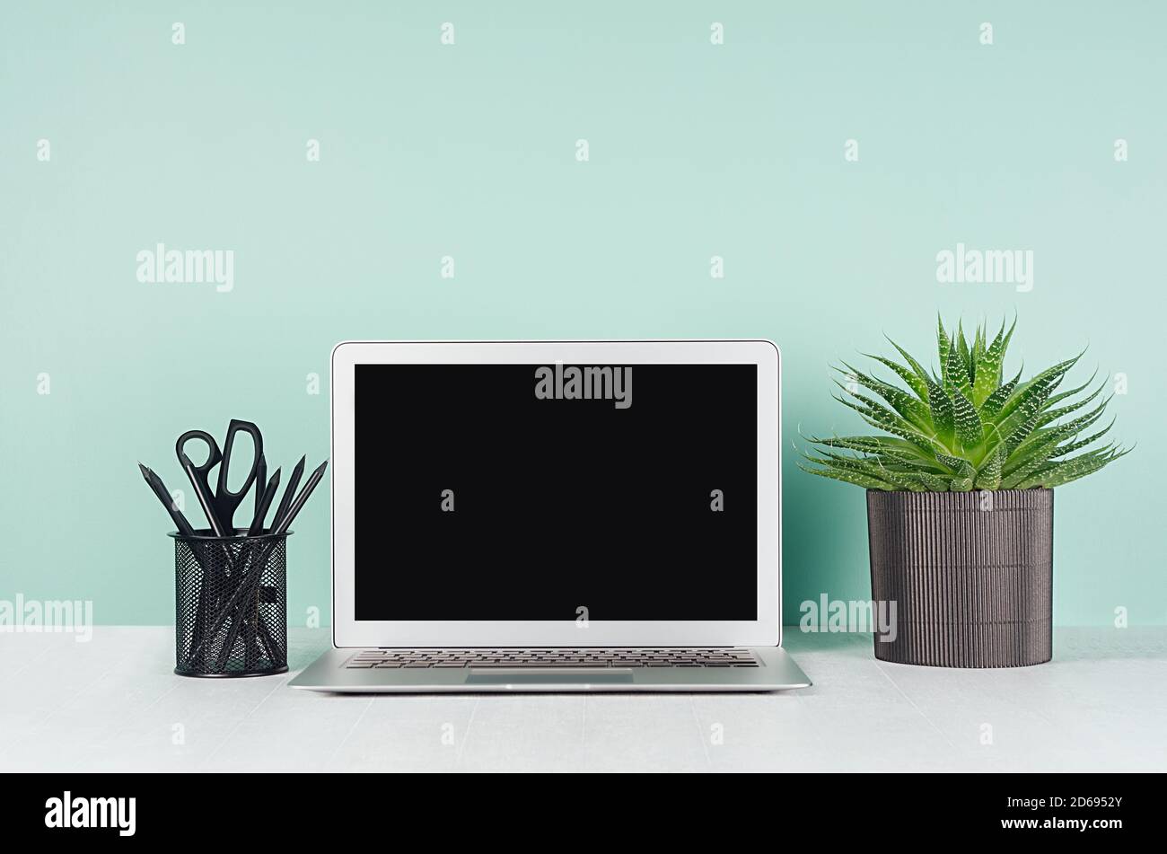 Posto di lavoro primaverile con schermo vuoto per notebook, cancelleria nera, pianta di aloe in pentola nera a coste in elegante menthe verde su tavola di legno bianco Foto Stock
