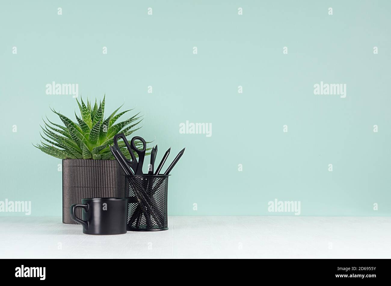Interni domestici freschi - luogo di lavoro per l'istruzione e il lavoro con cancelleria nera, tazza di caffè, pianta di aloe in elegante menta verde menthe parete di colore su bianco Foto Stock