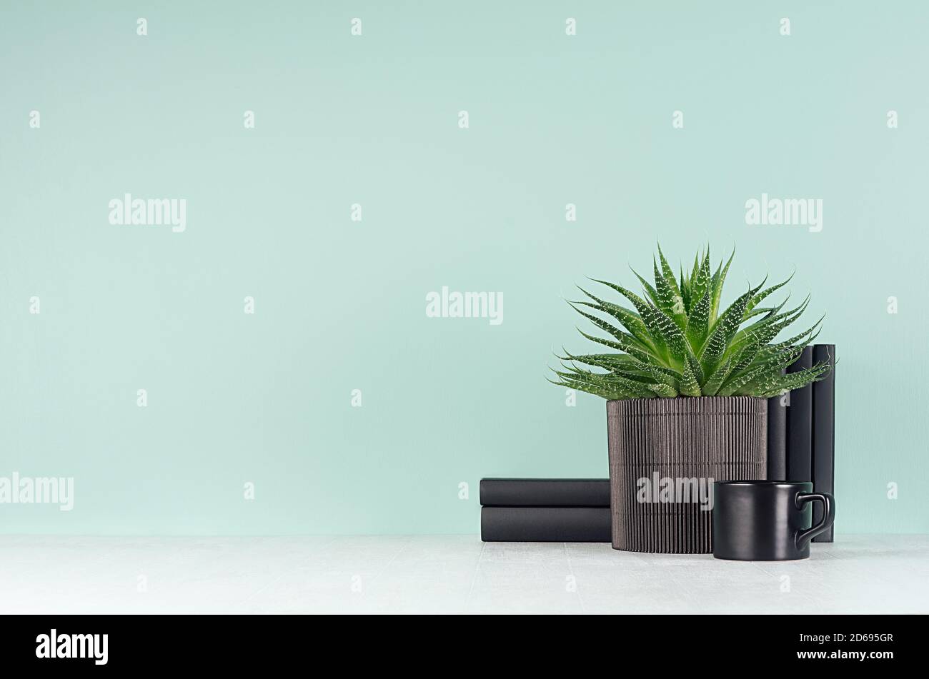 Elegante arredamento fresco casa con piante verdi di aloe in pentola nera a coste, libri neri in stile menthe verde menta interno su tavolo di legno bianco, copia Foto Stock