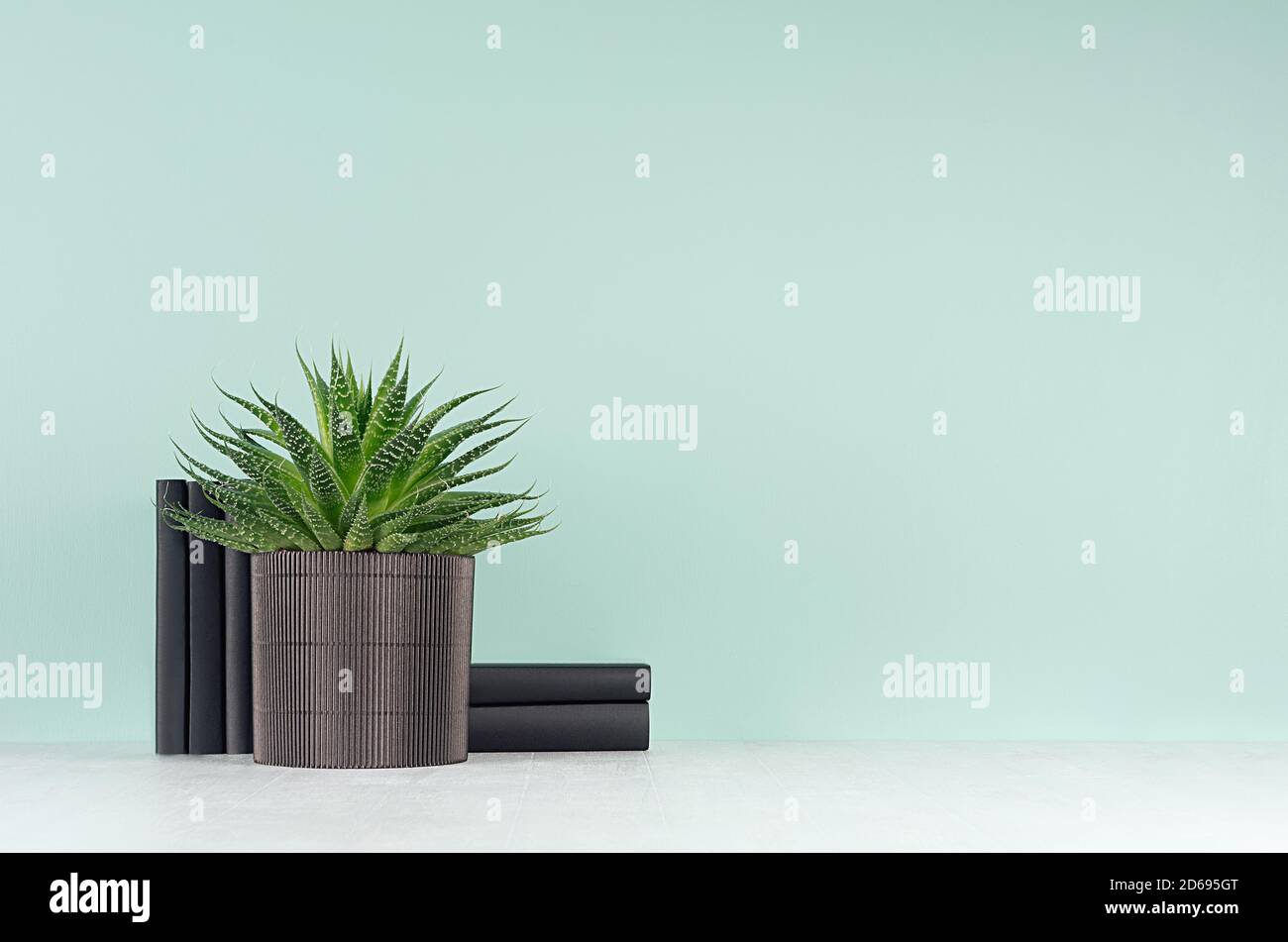 Decorazioni primaverili per la biblioteca domestica con piante verdi di aloe in pentola nera a coste, libri neri in delicato verde menta verde chiaro menthe interno su legno bianco sh Foto Stock