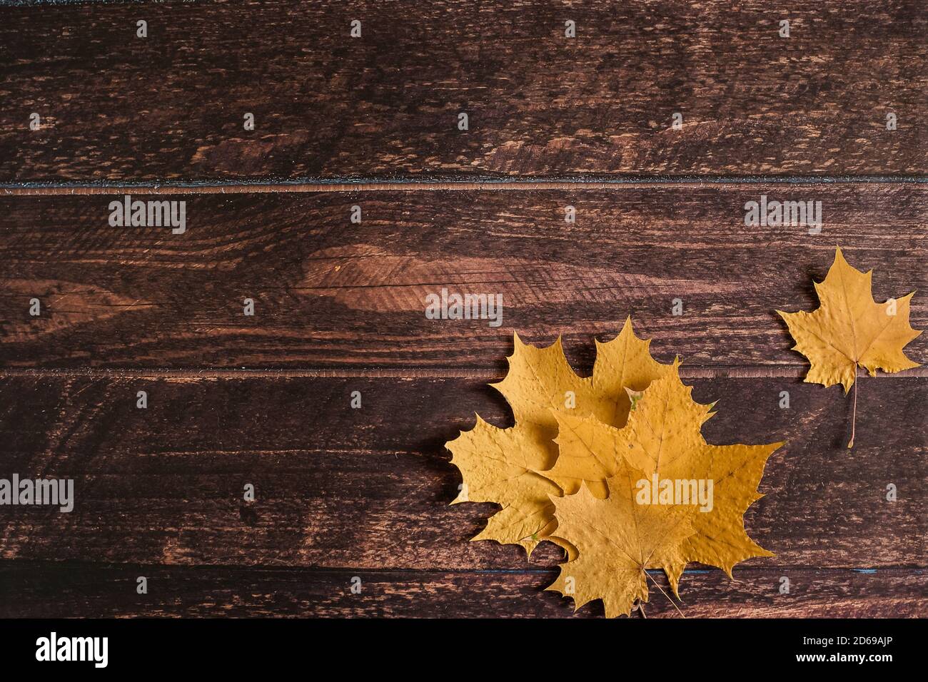 Foglie di acero giallo autunno giacciono su uno sfondo di legno marrone, sfondo autunno, settembre, ottobre, novembre, foglie secche di autunno, caduta di foglie, copyspace Foto Stock