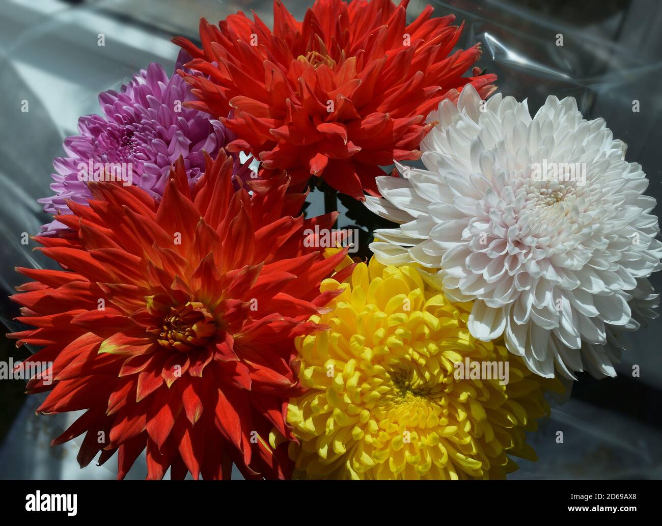 bel bouquet autunnale con crisantemi e dahlias Foto Stock