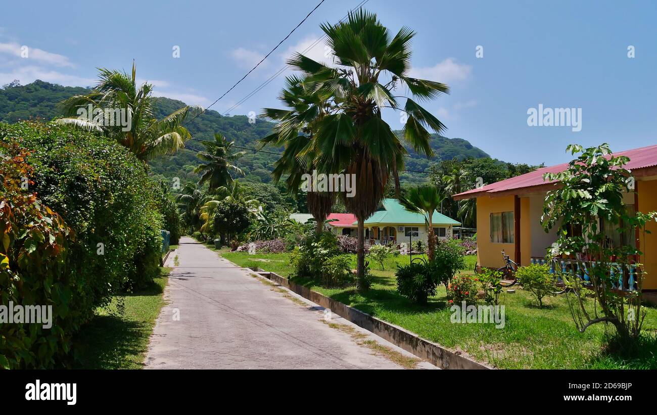Strada con palme e case vacanze (alloggi turistici) in villaggio sull'isola di la Digue, Seychelles. Foto Stock
