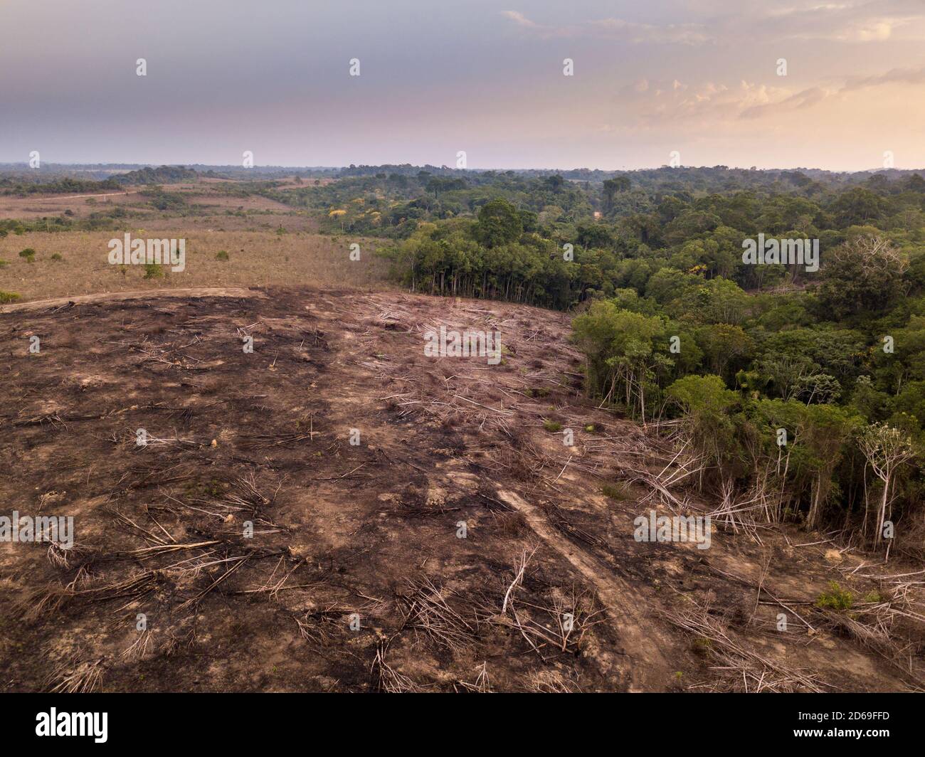 Drone vista aerea della deforestazione nella foresta amazzonica. Alberi tagliati e bruciati illegalmente per aprire terra per l'agricoltura e bestiame in Brasile, par Foto Stock