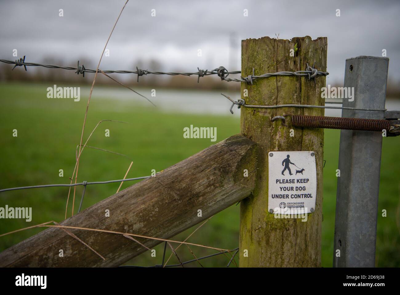 Si prega di tenere i cani sotto il segno di controllo su un vecchio palo di recinzione con filo spinato e acqua sullo sfondo su un cancello Foto Stock