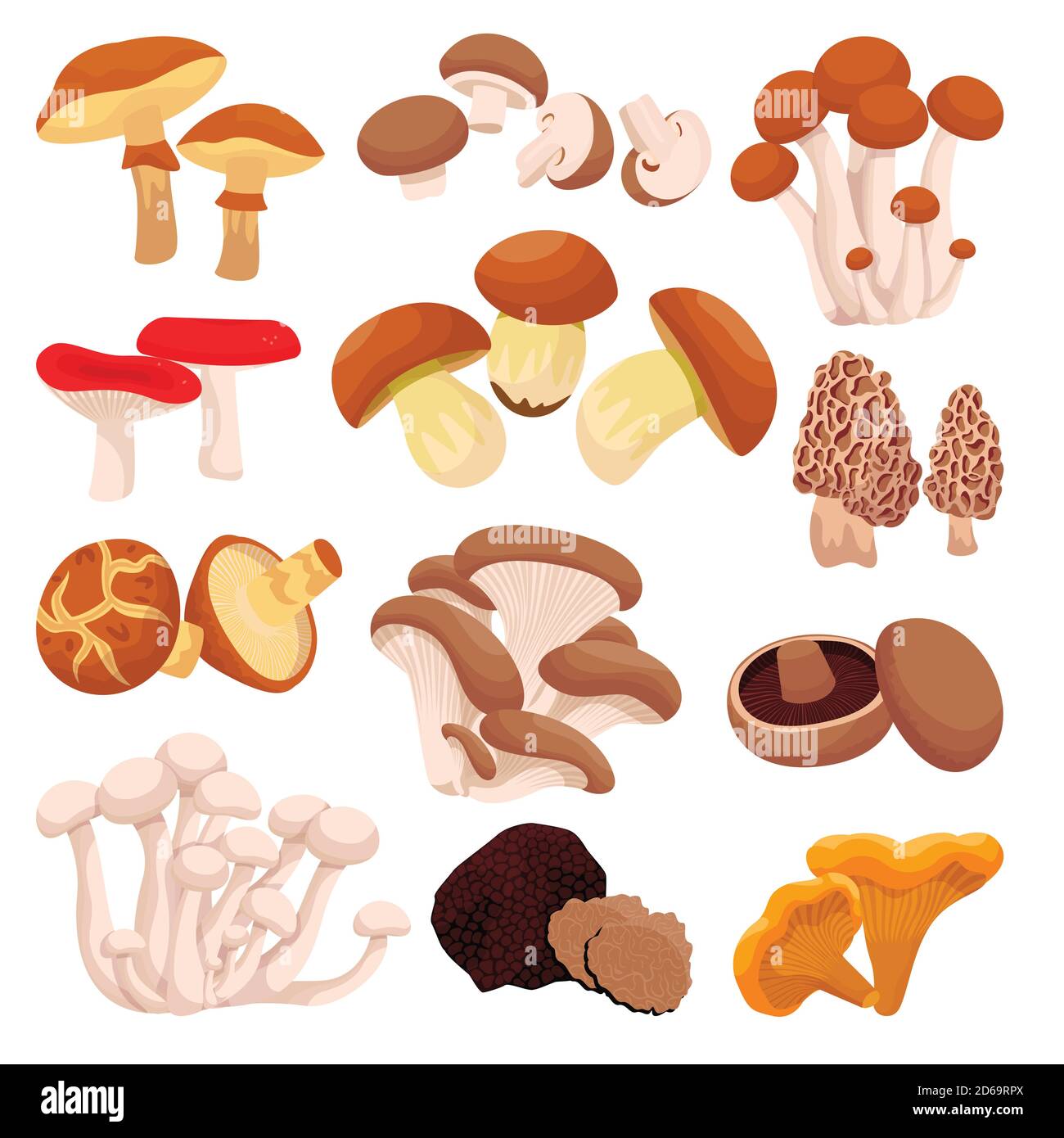 Raccolta di funghi, isolati su sfondo bianco. Illustrazione di un cartone piatto vettoriale. Ingredienti alimentari elementi di design. Autunno raccolto di edibl foresta Illustrazione Vettoriale