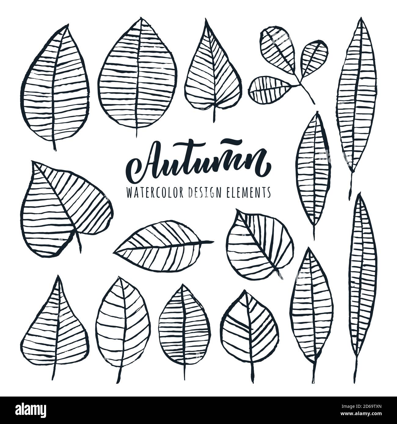 Autunnale calligrafia disegnata a mano lettere e watercolor foglie set, isolato su sfondo bianco. Illustrazione dello schizzo del doodle vettoriale. Design autunnale Illustrazione Vettoriale