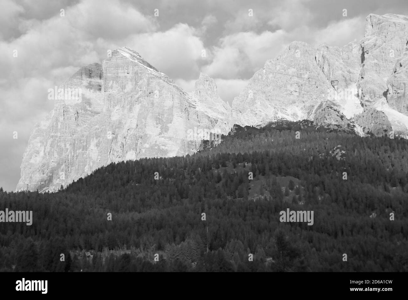 Vista sulle Dolomiti in Italia. In primo piano è una foresta densa. Foto in bianco e nero. Messa a fuoco selettiva Foto Stock