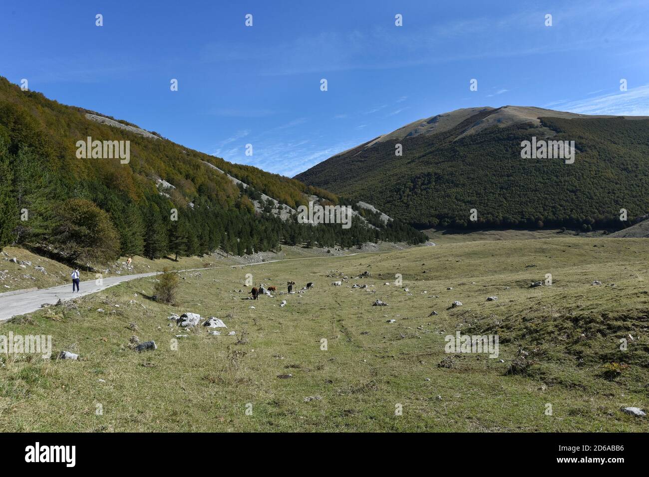 Viggianello, Italia. 11 Ott 2020. Una vista su piano Ruggio a circa 1550 metri di altezza, sui monti Pollino in Basilicata, Italia meridionale. Meta turistica molto popolare durante tutto l'anno. Credit: Agenzia fotografica indipendente/Alamy Live News Foto Stock