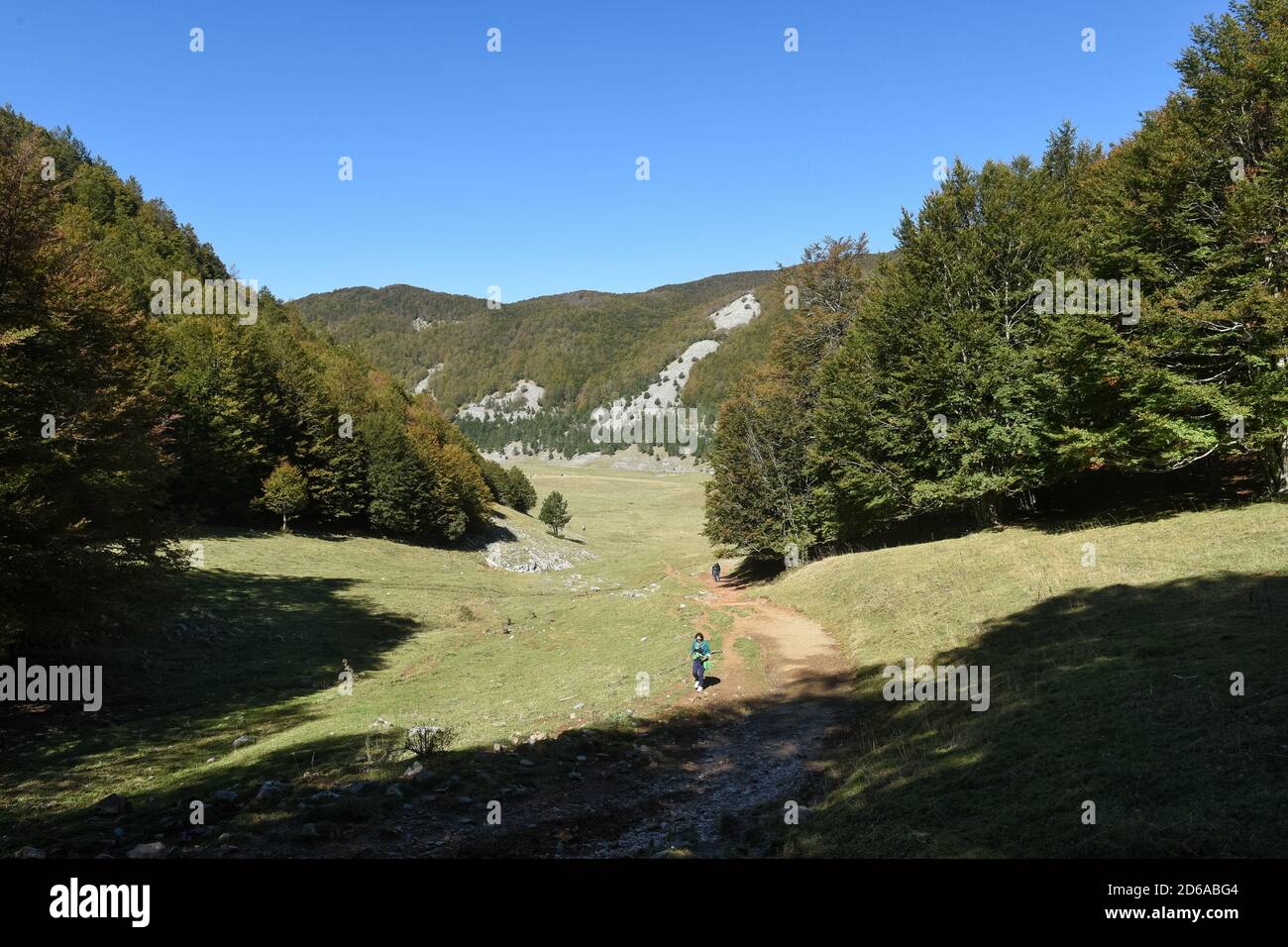 Viggianello, Italia. 11 Ott 2020. Una vista su piano Ruggio a circa 1550 metri di altezza, sui monti Pollino in Basilicata, Italia meridionale. Meta turistica molto popolare durante tutto l'anno. Credit: Agenzia fotografica indipendente/Alamy Live News Foto Stock