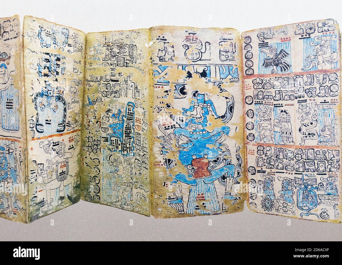 Dettaglio di un facsimile del Codice Maya del XIV secolo Cortesianus, conosciuto anche come il Codice di Madrid o il Codice di Troano in mostra al museo di El M. Foto Stock