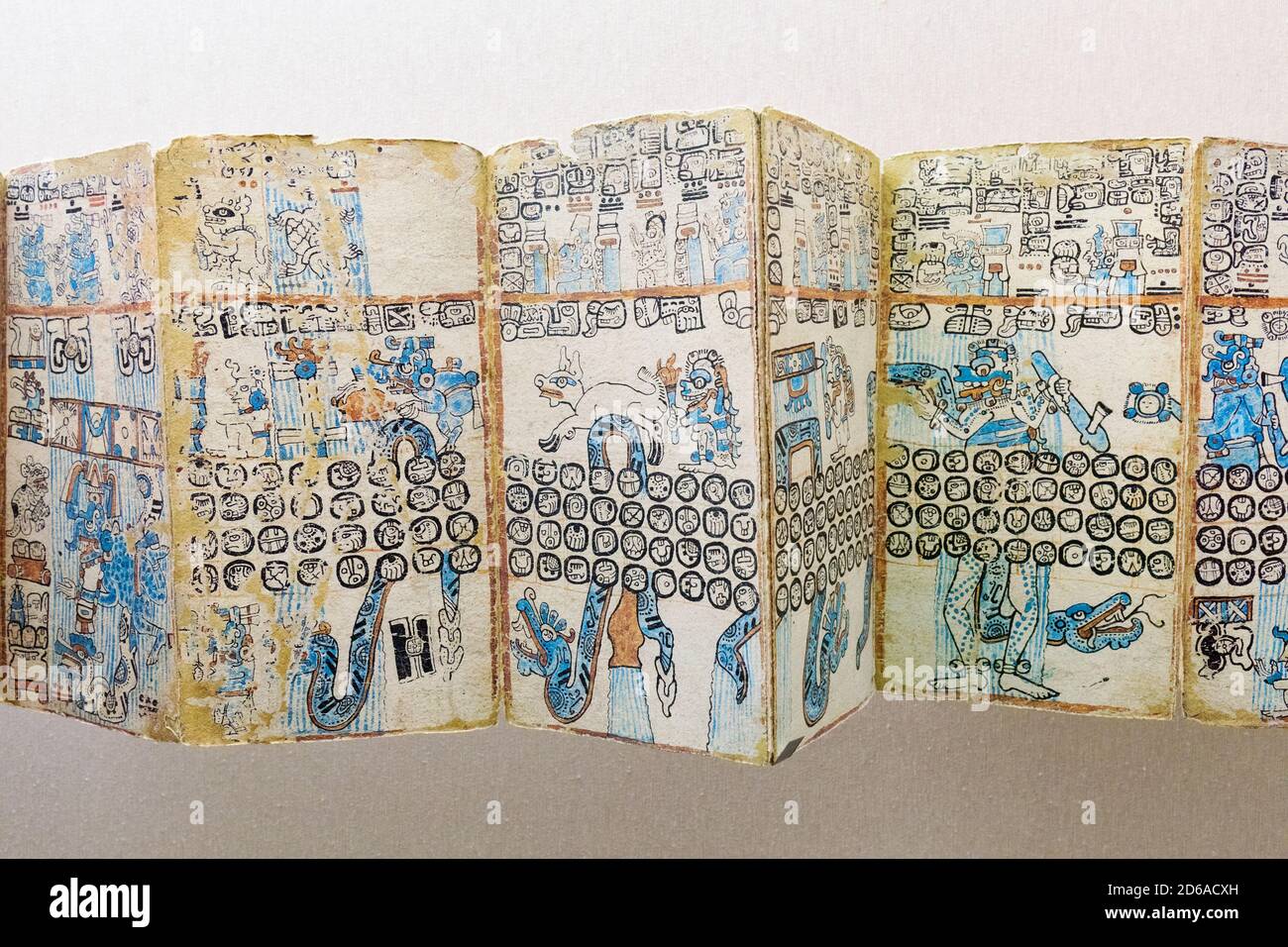 Dettaglio di un facsimile del Codice Maya del XIV secolo Cortesianus, conosciuto anche come il Codice di Madrid o il Codice di Troano in mostra al museo di El M. Foto Stock