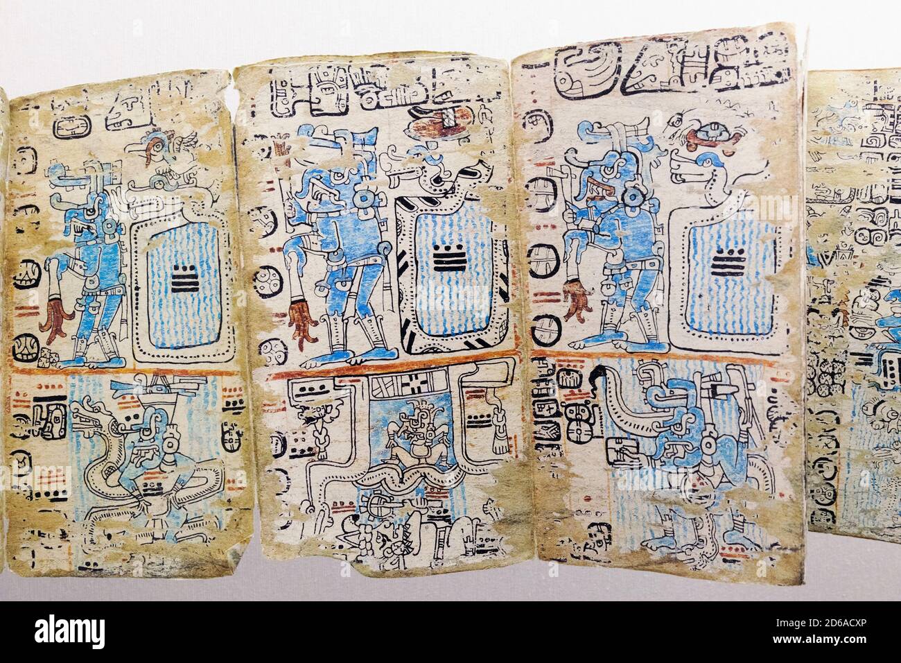 Dettaglio di un facsimile del Codice Maya del XIV secolo Cortesianus, conosciuto anche come il Codice di Madrid o il Codice di Troano in mostra al museo di El M. Foto Stock