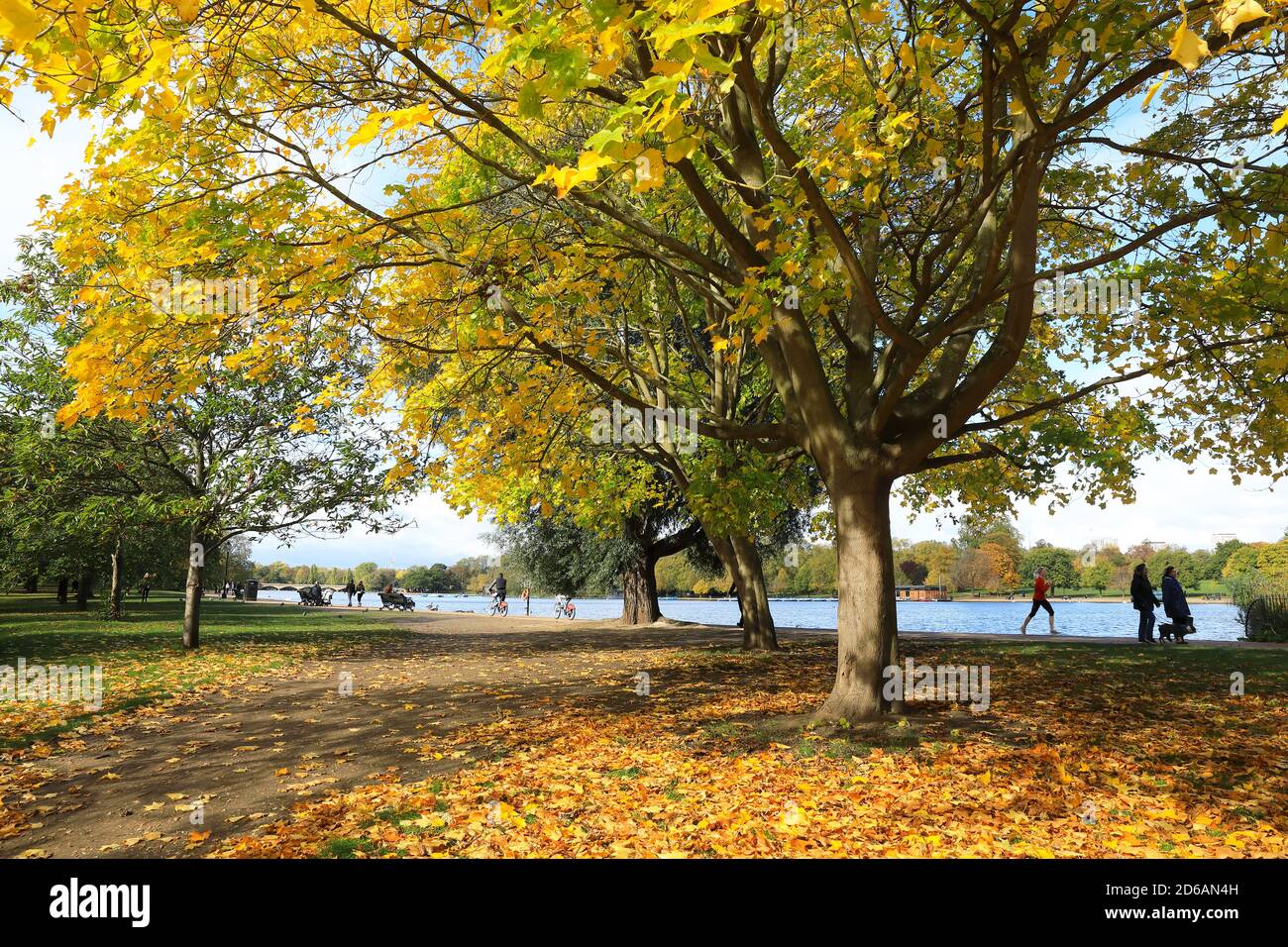 Colori autunnali in Hyde Park presso la Serpentine, a ovest di Londra, Regno Unito Foto Stock