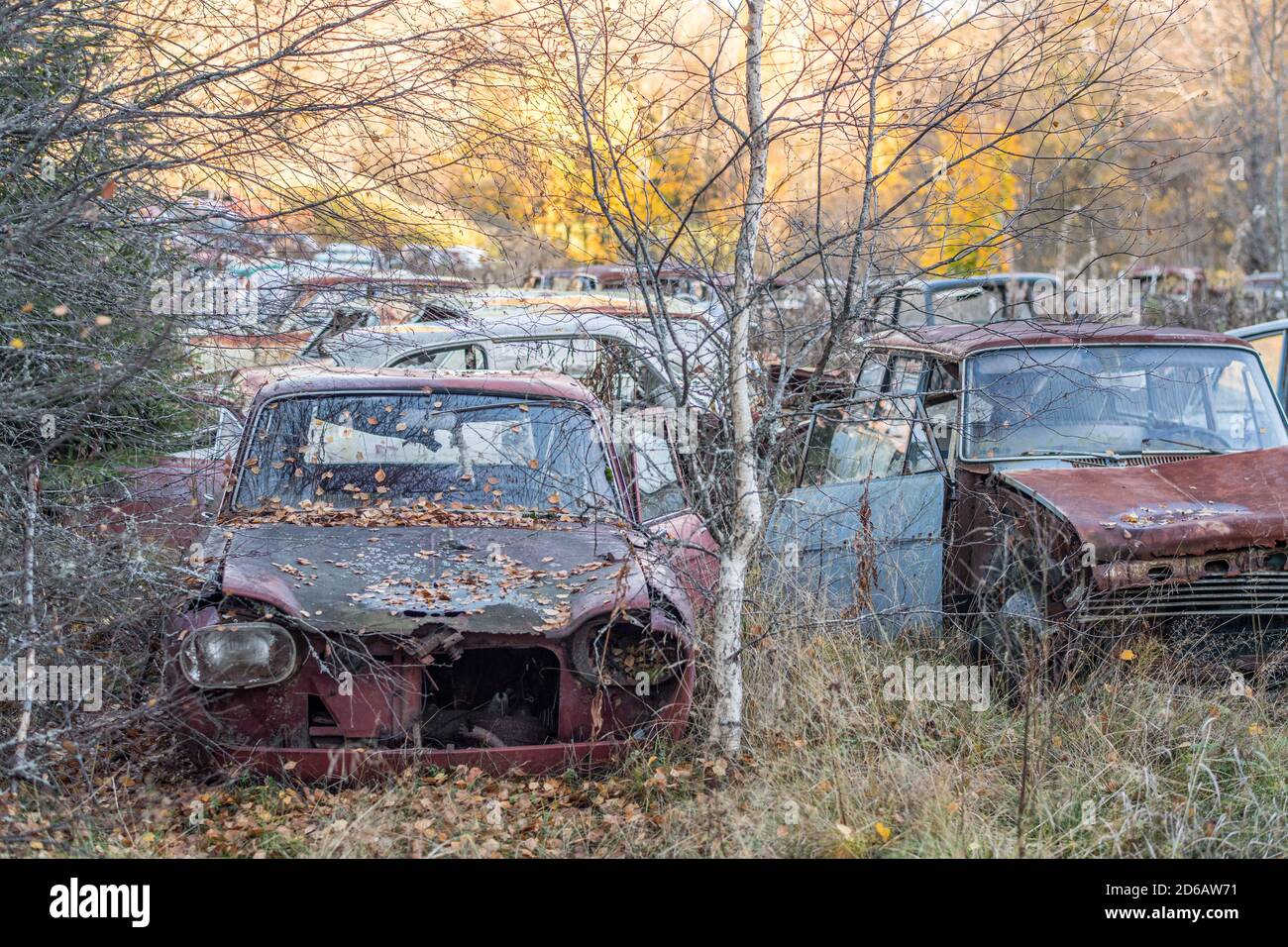 Cimitero auto durante l'autunno in Svezia Foto Stock