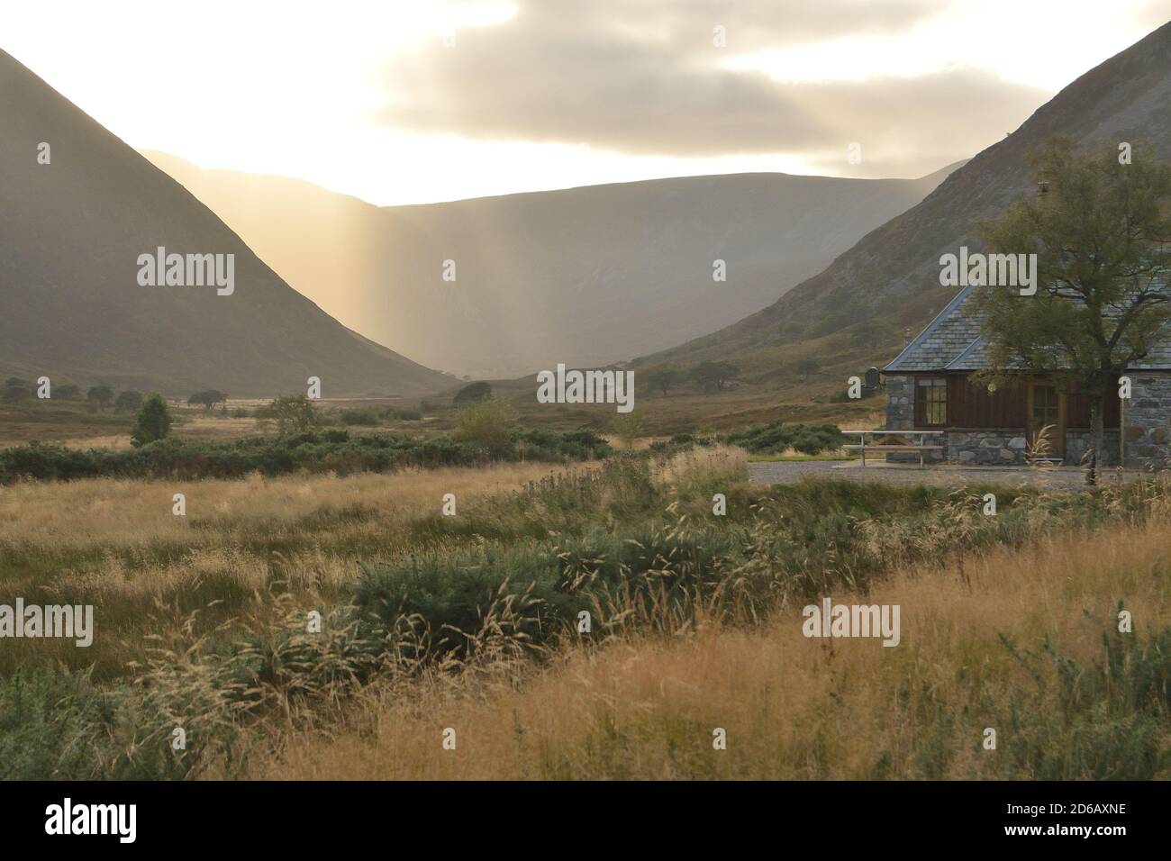 Glen Alladale, la valle principale della tenuta Alladale nelle Highlands scozzesi, Regno Unito Foto Stock