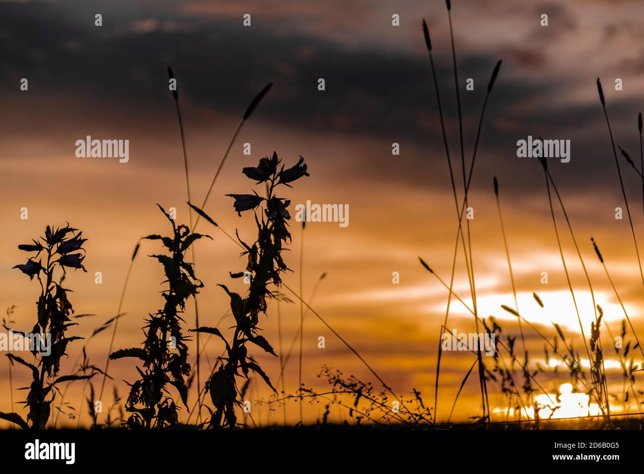 Alba sulla Scozia Foto Stock