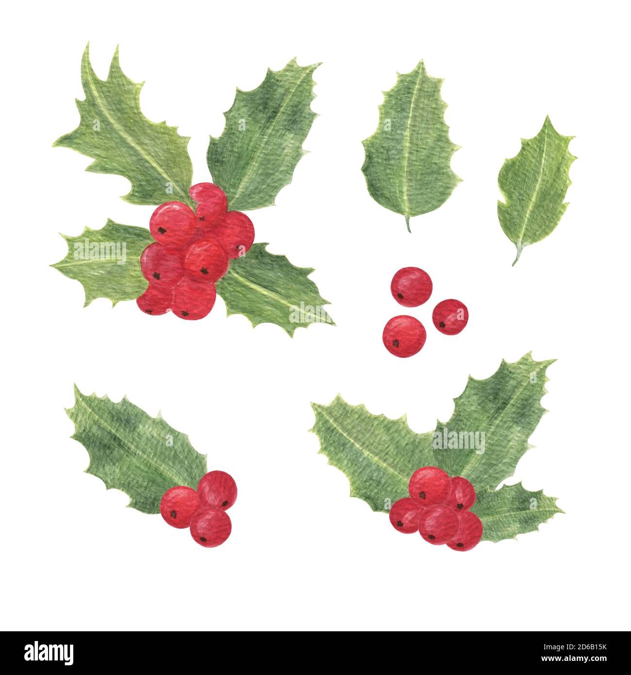 Pianta di agrifoglio, bacche rosse, tradizionale illustrazione dell'acquerello delle vacanze invernali, foglie e bacche, celebrazioni di fine anno e simbolo delle riunioni di famiglia, motivo semplice dell'umore festivo Foto Stock