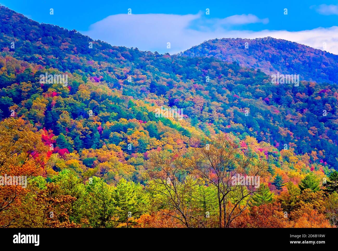 Caduta delle Foglie aggiunge spruzzi di colore in Cades Cove, nov. 2, 2017, al Parco Nazionale di Great Smoky Mountains nel Tennessee. Foto Stock