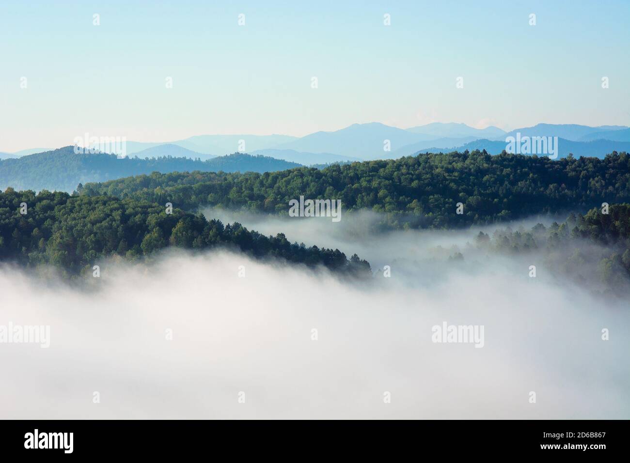 Mattina nebbia in montagna. Isola Paradiso. Foto Stock