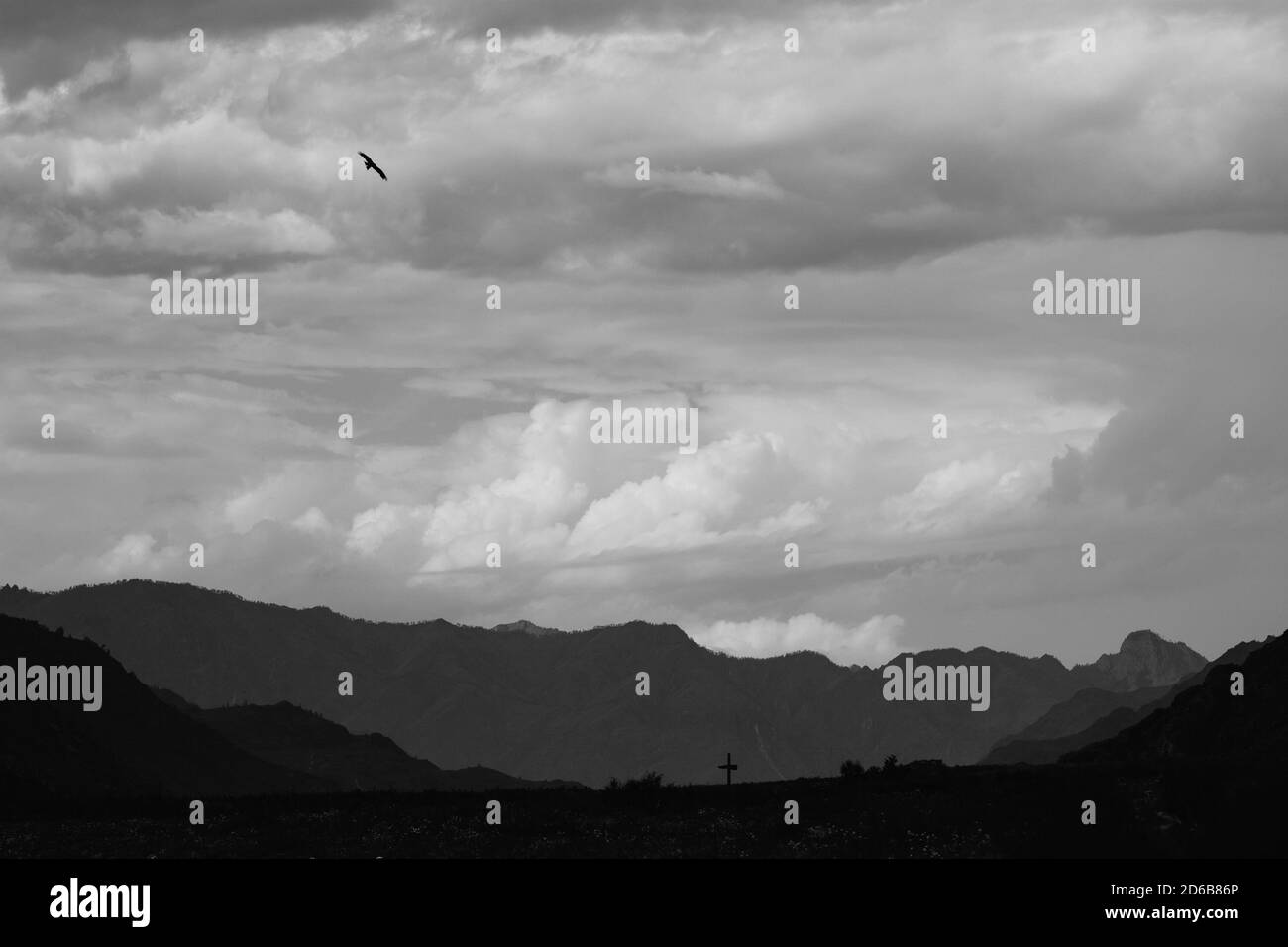 La foto del paesaggio assomiglia a un disegno a matita. Pitch corvi neri che volano sul campo. Foto Stock