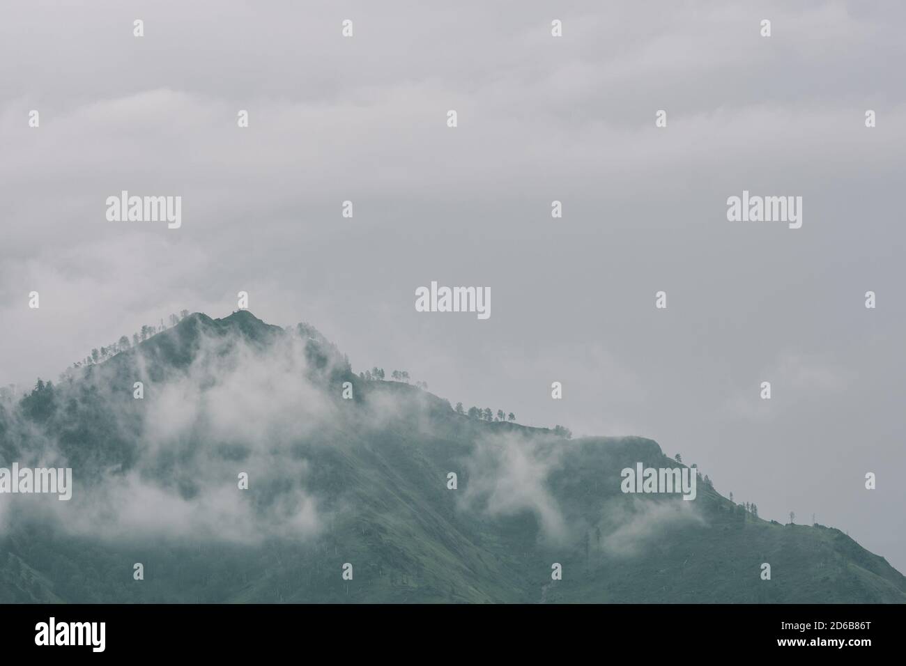 Nebbia fitta in montagna con spazio di copia sulla nebbia. Paesaggio foggy vintage di natura maestosa in tonalità verdi sbiadite in stile hipster. Opachi opachi tra hi Foto Stock