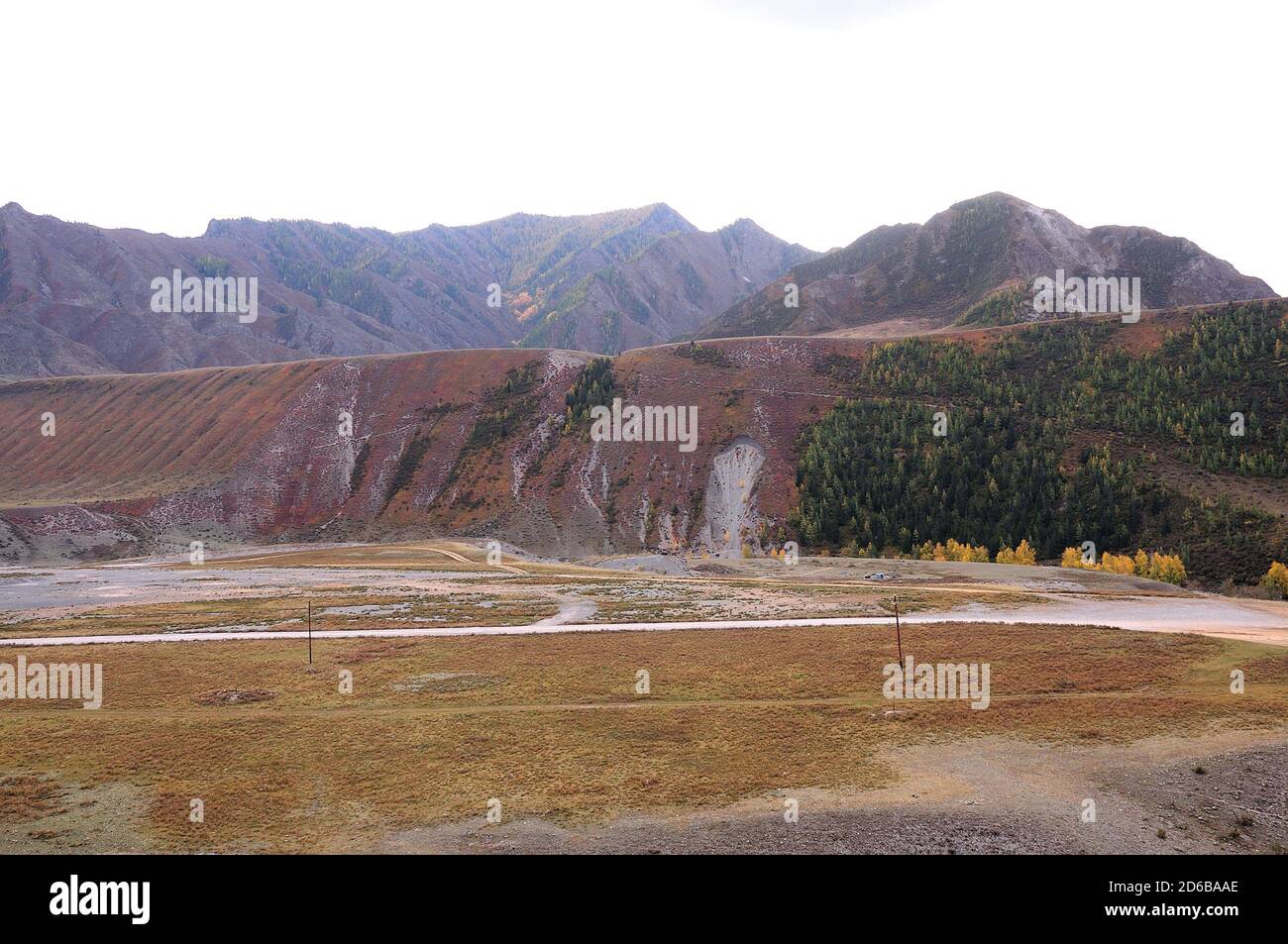 Vista su un altopiano montuoso con scoscese rocce ricoperte da foreste di conifere. Katun Terraces, Altai, Siberia, Russia. Foto Stock