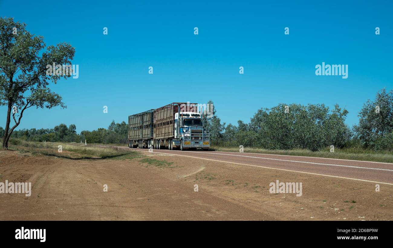 Undara a Townsville Highway, Queensland, Australia - Giugno 2020: Treno stradale per il trasporto di bestiame al mercato su strada di Outback Foto Stock