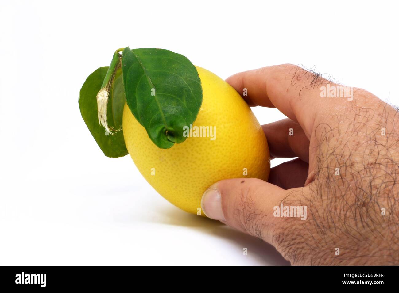 Limone dolce isolato su sfondo bianco. Foto Stock