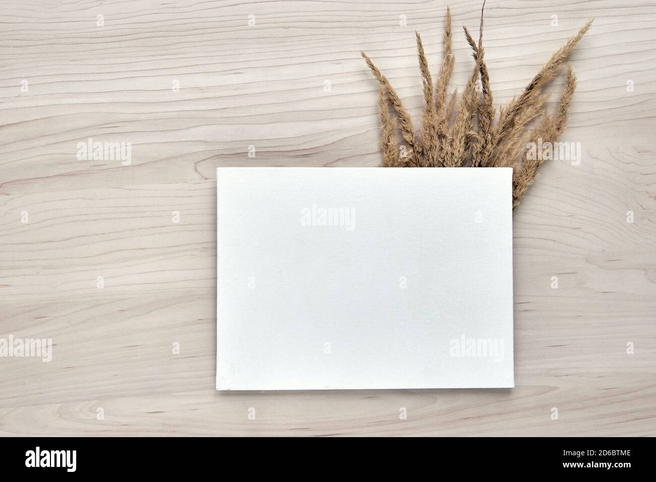 Un bouquet di spokelet. Telaio di canne secche isolate su sfondo bianco. Carta bianca per la creazione di modelli. Astratto fiori secchi d'erba, erbe su legno Foto Stock
