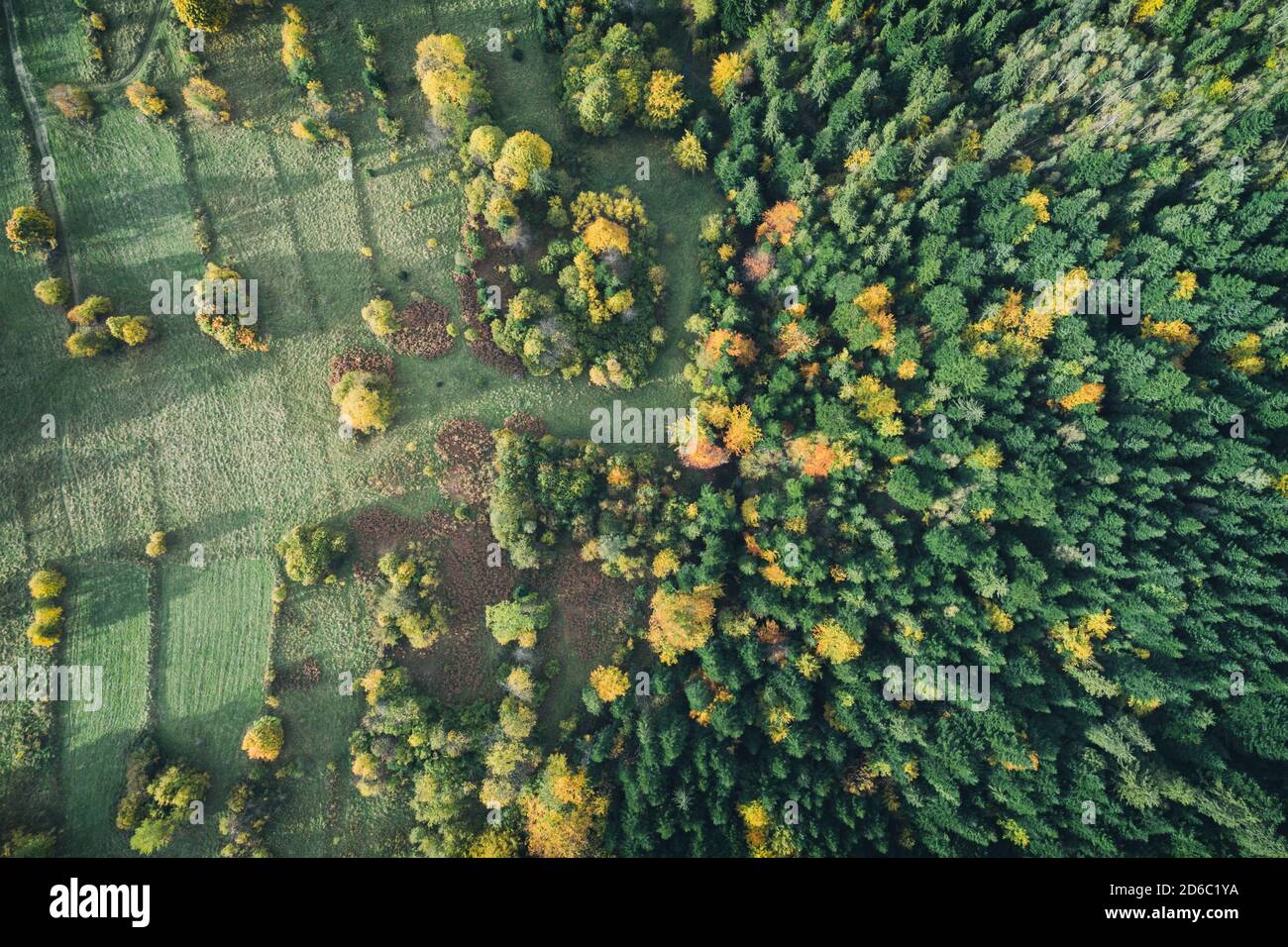 Beskid montagne in Zywiec Polonia, montagne e colline polacche drone aereo foto Polonia Foto Stock