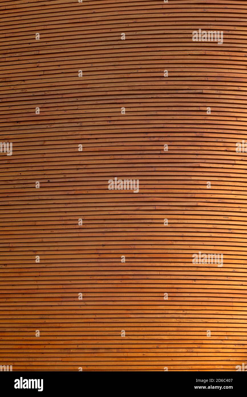 Parete nuova e pulita fatta di tavole di legno di abete rosso, vista frontale. Il lato destro è più luminoso e più luminoso. Sfondo con texture full frame ad alta risoluzione. Foto Stock