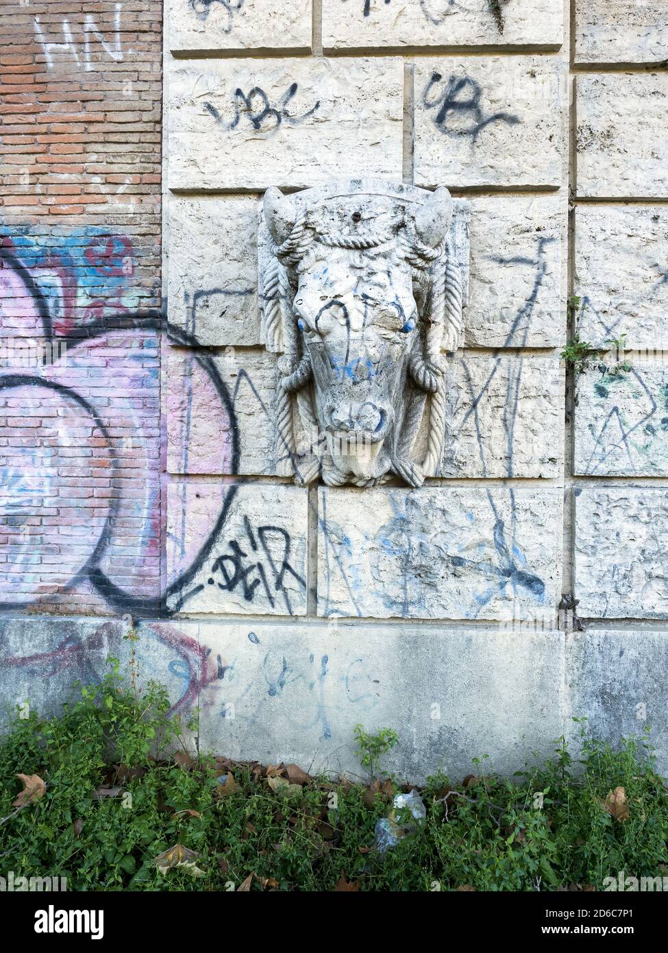 Una scultura testa di toro nel muro della sponda del Tevere - Roma, Italia Foto Stock