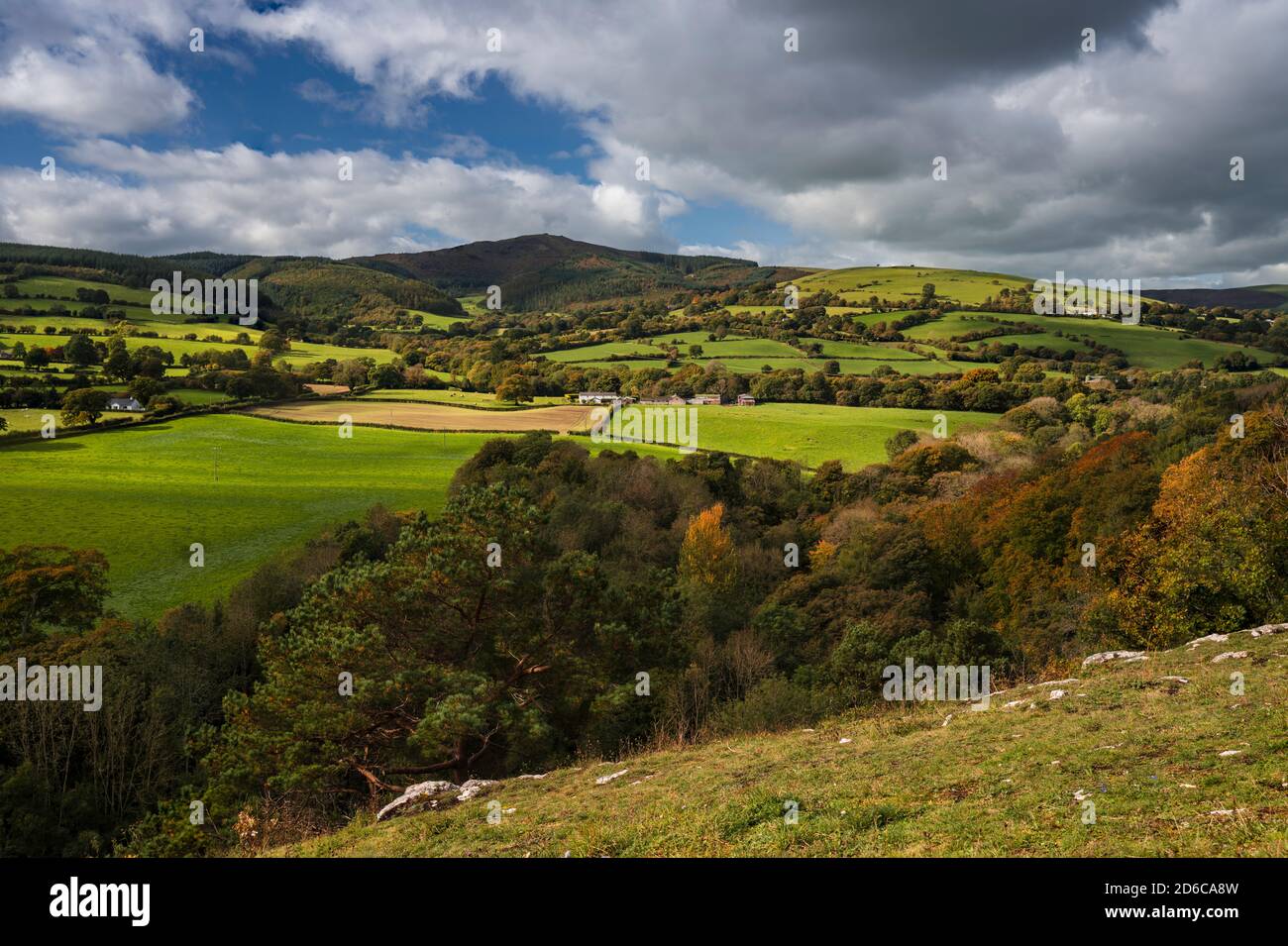 Il percorso Leete presso il Loggerheads Country Park, Denbighshire, Galles del Nord, Regno Unito. Foto Stock