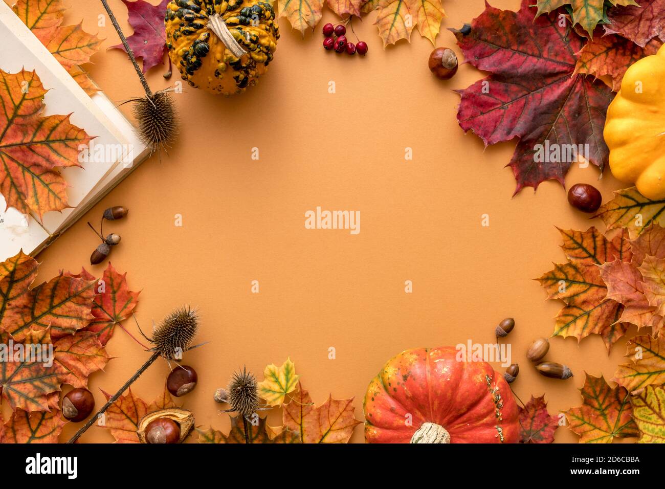 Accogliente stile autunnale piatto di foglie colorate secche di ottobre sullo sfondo arancione chiaro con spazio vuoto per logo o design Foto Stock