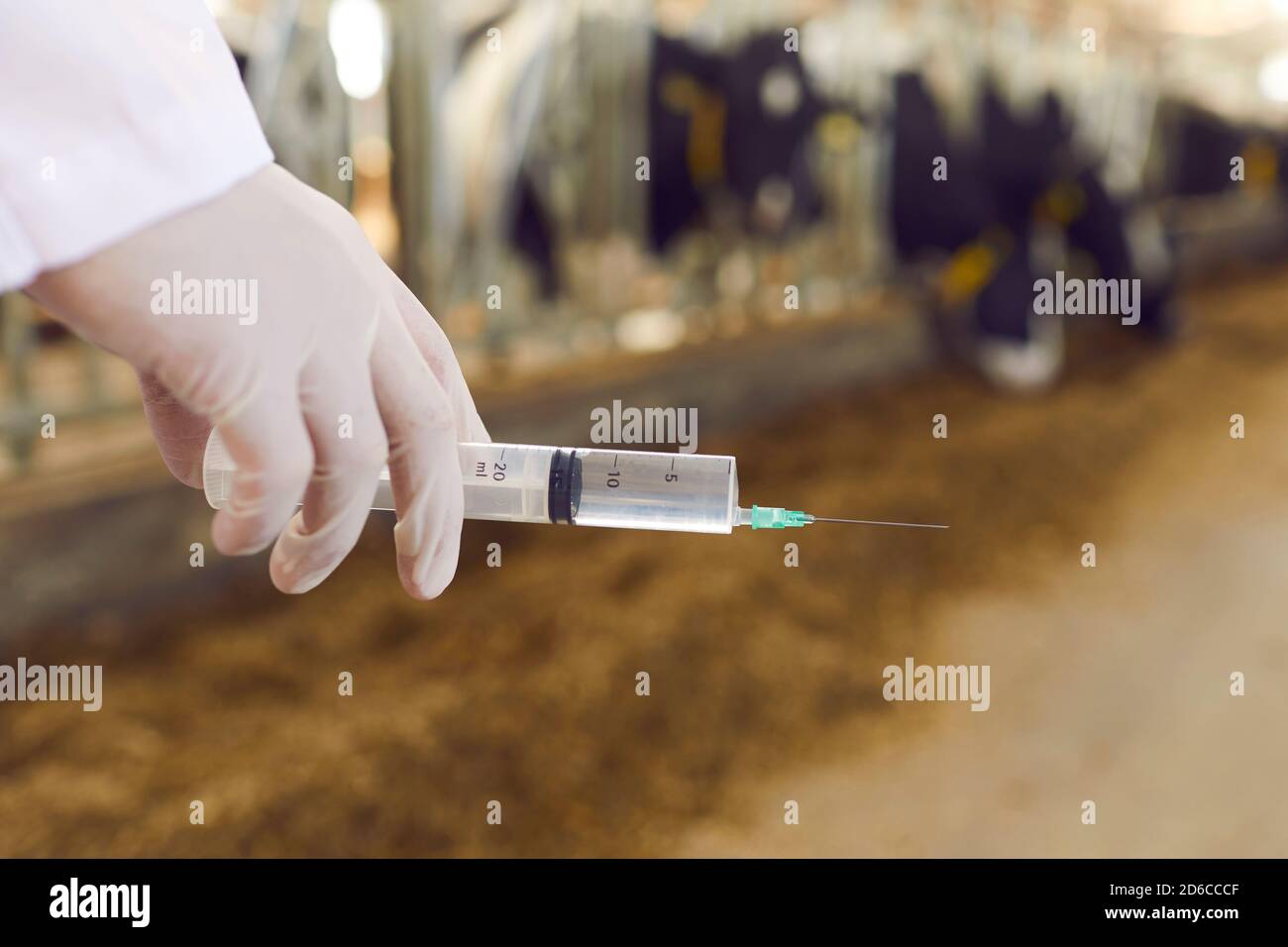 Preparazione della siringa con la mano del veterinario contro lo sfondo sfocato di capannone Foto Stock