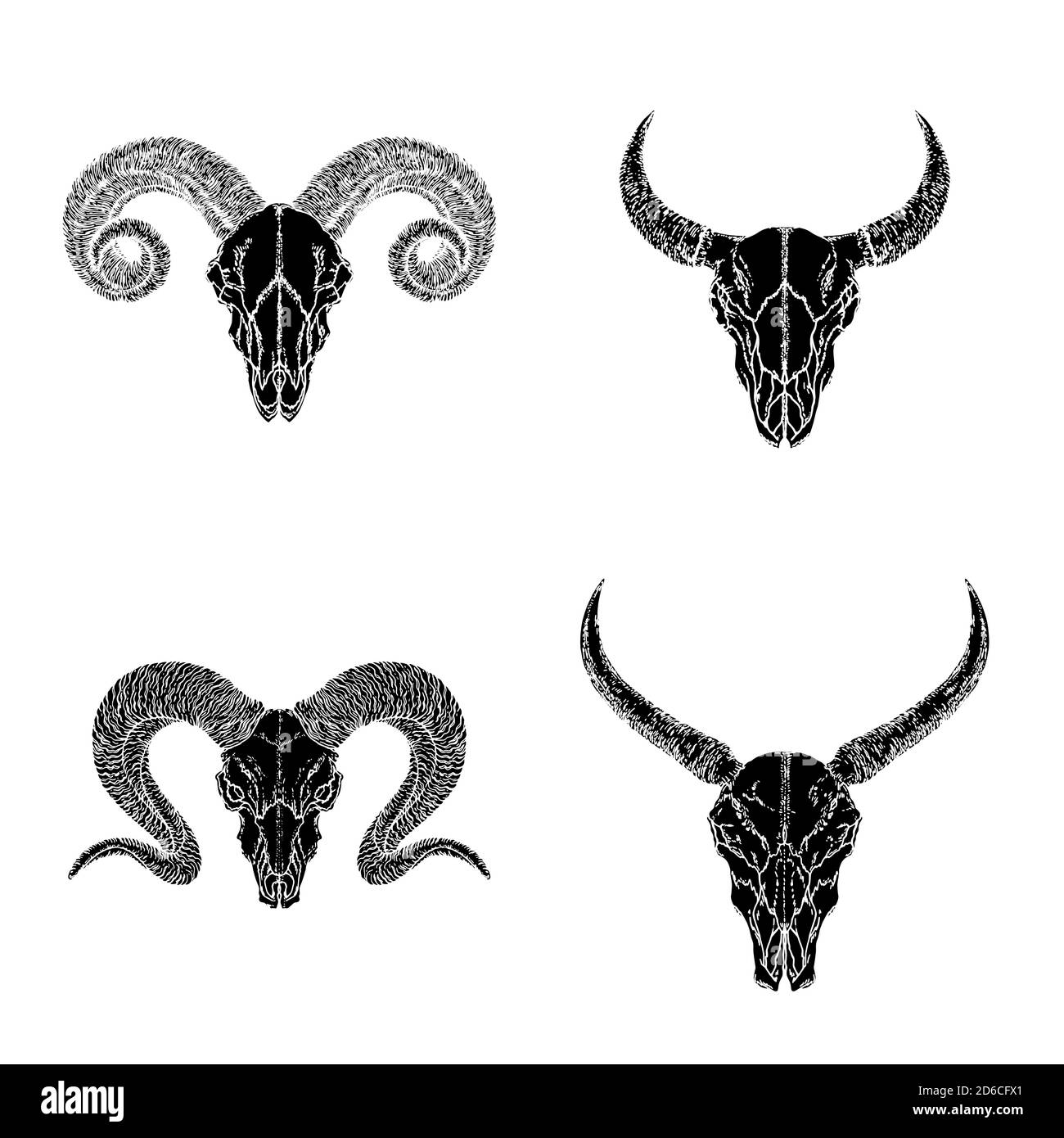Insieme vettoriale di teschi disegnati a mano di animali cornati: Bufali selvatici, toro e arieti su sfondo bianco. Sagome nere. Per la progettazione, la stampa, il tatuaggio o Illustrazione Vettoriale