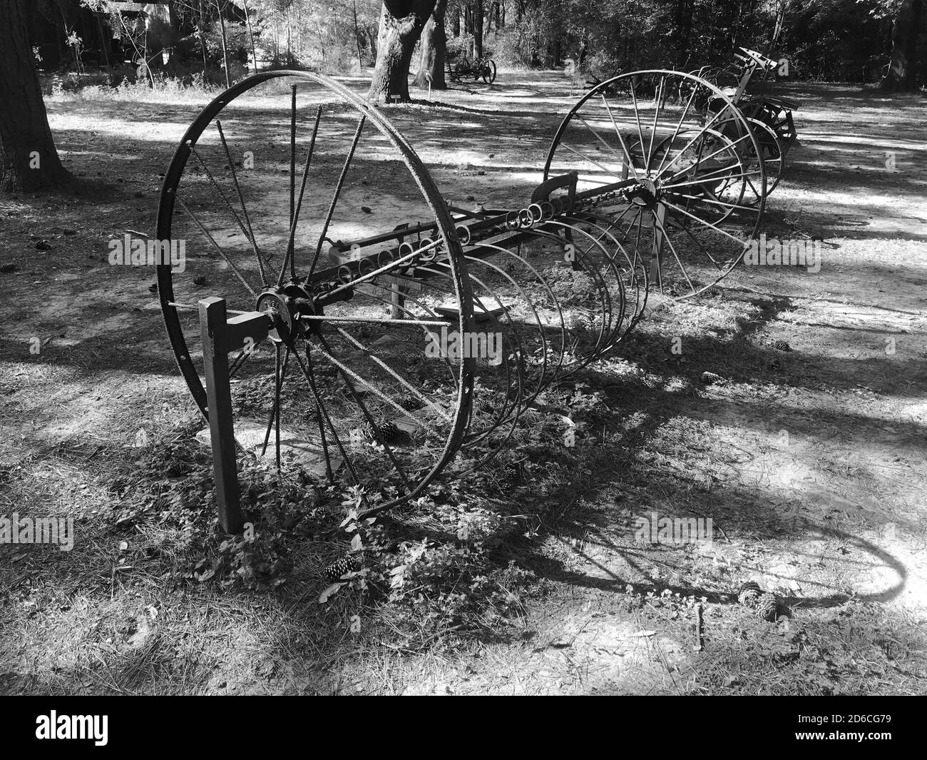 Rastrello di fieno trainato da cavalli in mostra al Kleb Woods Nature Conserva Foto Stock