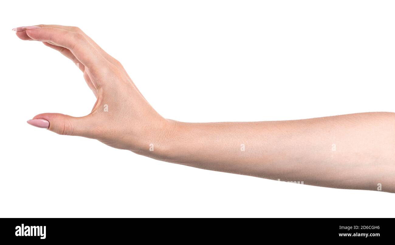 Le mani caucasiche femmina isolato sfondo bianco che mostra il gesto tiene qualcosa o prende, dà. Le mani della donna che mostrano gesti diversi Foto Stock