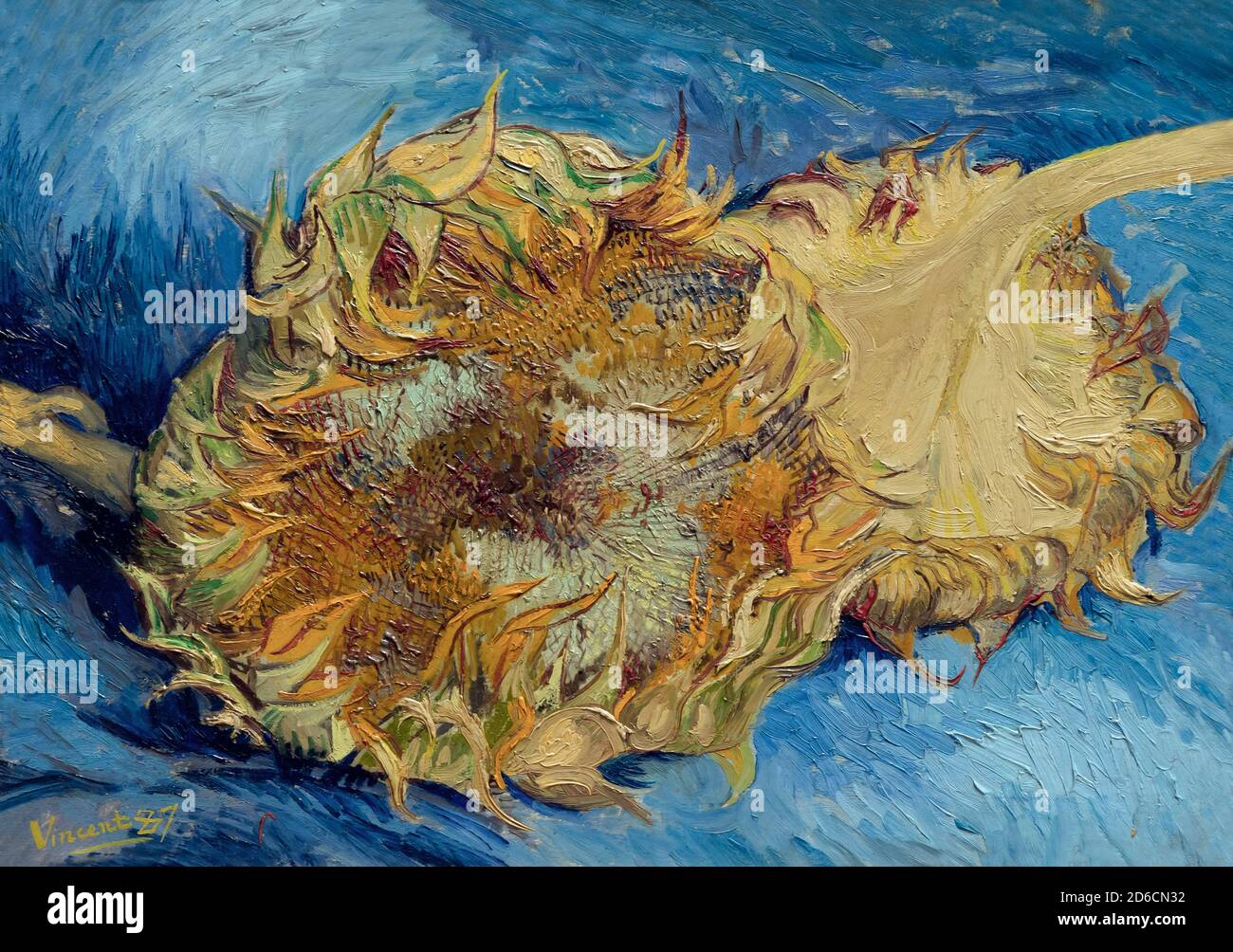 Girasoli, Vincent van Gogh, 1887, Metropolitan Museum of Art, Manhattan, New York City, USA, Nord America Foto Stock
