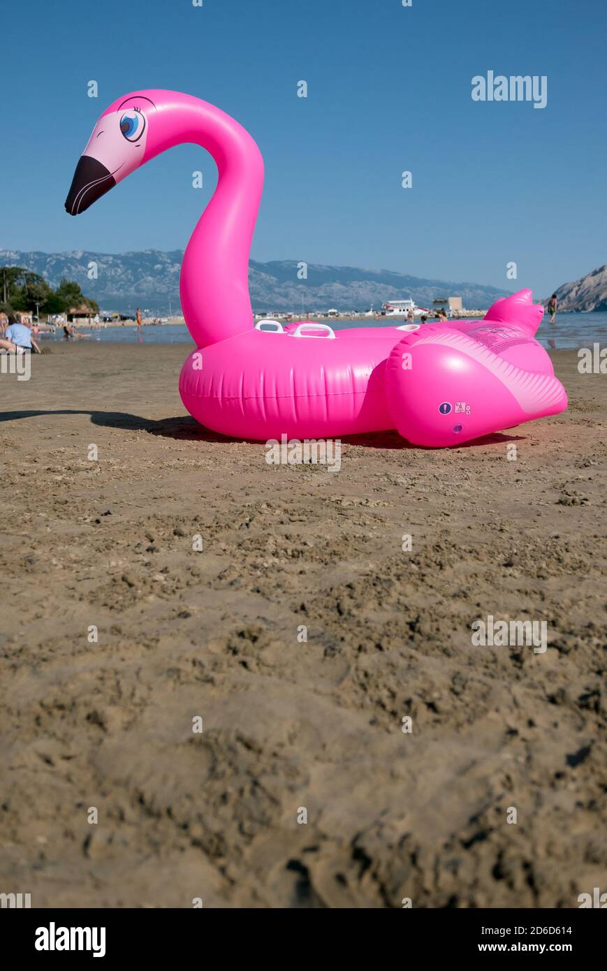 26.06.2020, San Marino, Rab, Primorje-Gorski kotar, Croazia - cigno gommato rosa a Paradise Beach. 00A200626D199CAROEX.JPG [VERSIONE DEL MODELLO: N Foto Stock