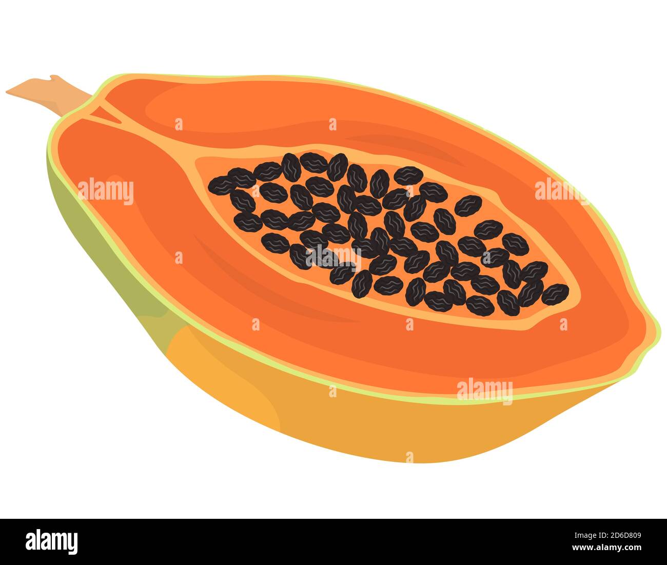 Metà di papaya gustosa. Frutta tropicale in stile cartone animato. Illustrazione Vettoriale