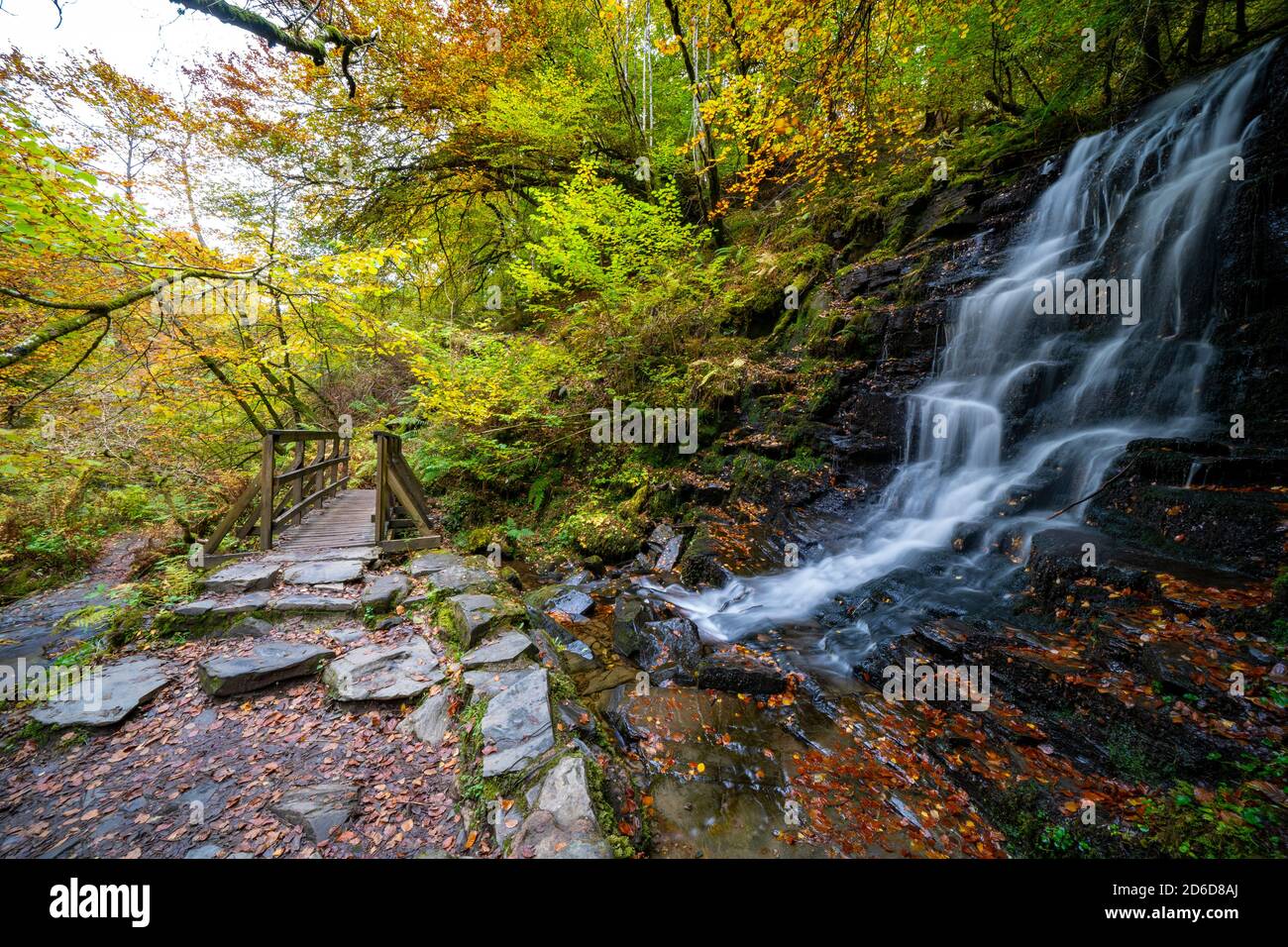 Aberfeldy, Scozia, Regno Unito. 16 ottobre 2020. Colori autunnali lungo il sentiero boschivo e il torrente agli Birks of Aberfeldy nel Perthshire. Iain Masterton/Alamy Live News Foto Stock