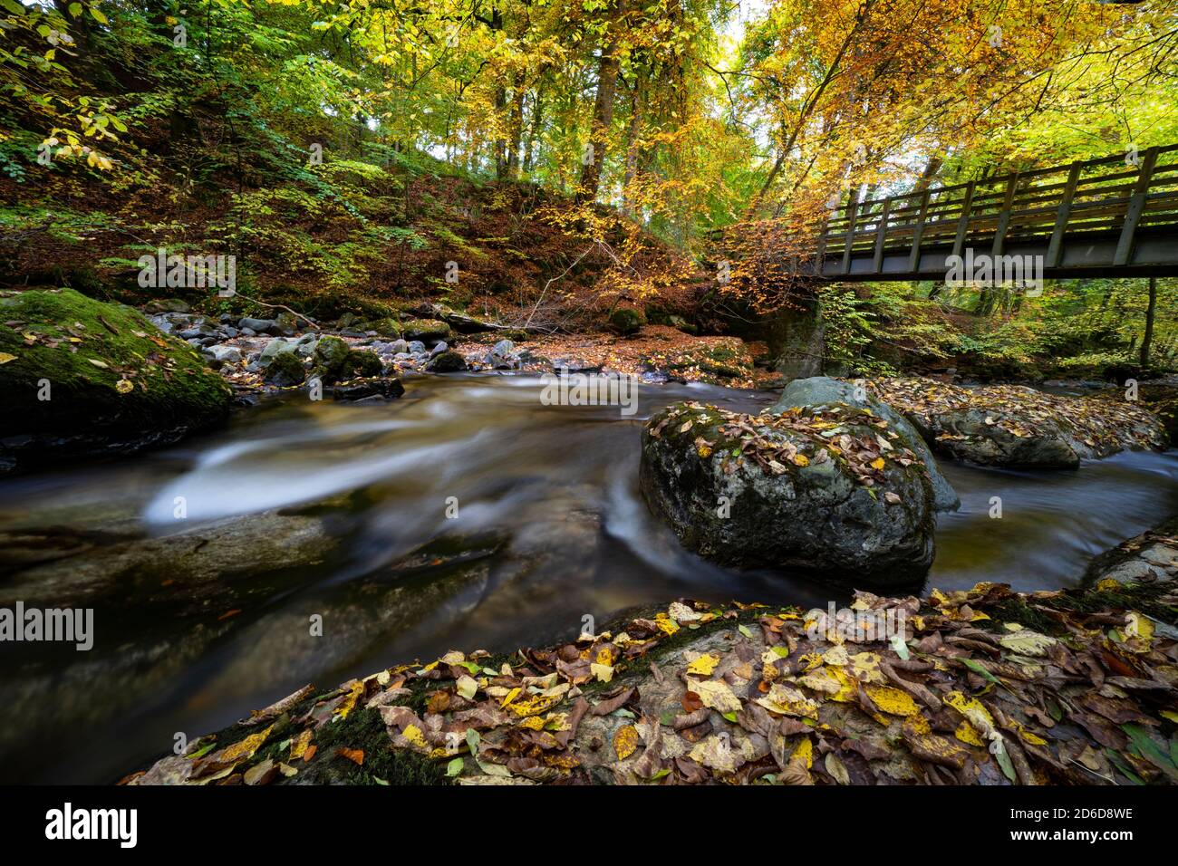 Aberfeldy, Scozia, Regno Unito. 16 ottobre 2020. Colori autunnali lungo il sentiero boschivo e il torrente agli Birks of Aberfeldy nel Perthshire. Iain Masterton/Alamy Live News Foto Stock