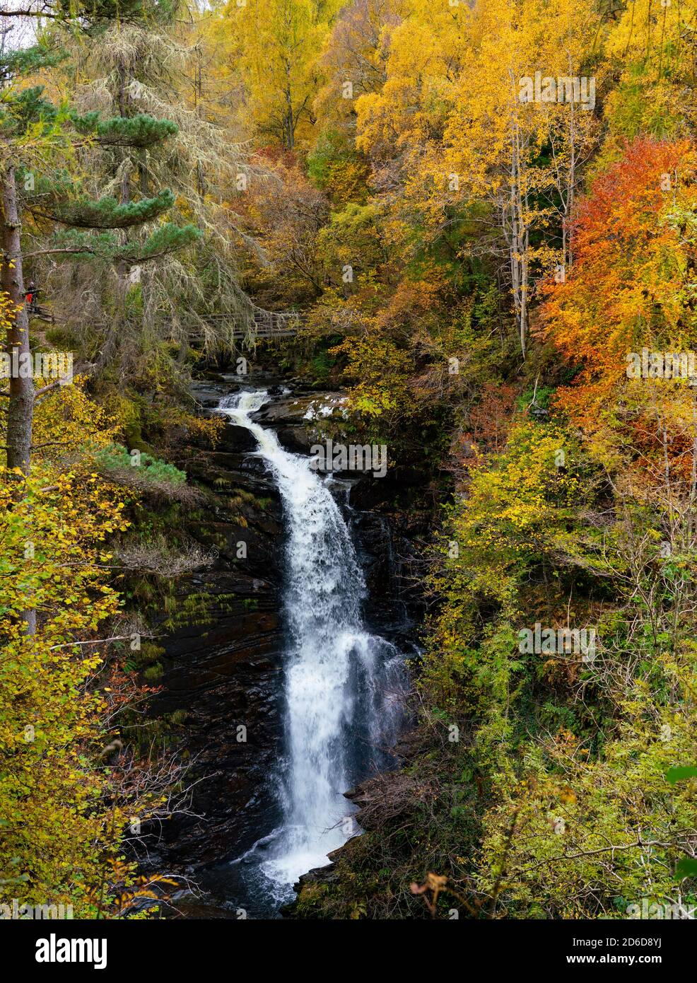 Aberfeldy, Scozia, Regno Unito. 16 ottobre 2020. Colori autunnali lungo il sentiero boschivo e il torrente agli Birks of Aberfeldy nel Perthshire. Iain Masterton/Alamy Live News Foto Stock