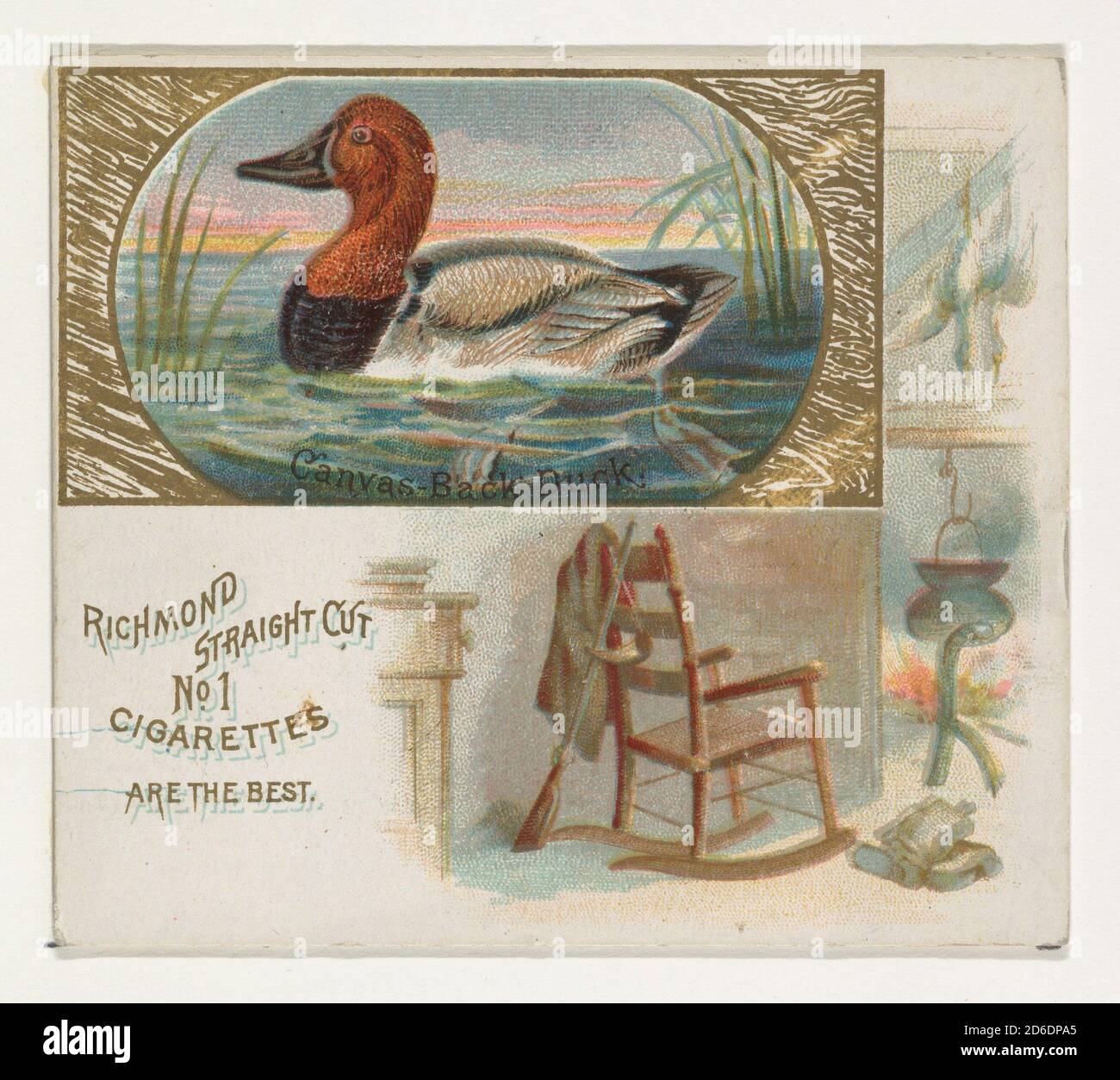 Canvas-Back Duck, dalla serie Game Birds (N40) per Allen &amp; Ginter sigarette, 1888-90. Foto Stock