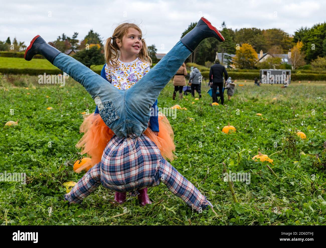 East Lothian, Scozia, Regno Unito, 16 ottobre 2020. Pumpkin Patches Open: Due patches a Kilduff Farm e Balbone Estate aperto oggi nel corso dei prossimi 3 fine settimana con slot prenotabili, le misure sociali e di igiene. C'era il timore che le nuove restrizioni del governo scozzese impediscano l'apertura delle patch e se l'ultimo fine settimana sarà possibile dopo la revisione delle restrizioni in vigore. Nella foto: Isla, di 6 anni, indossa la sua gonna di zucca accanto a uno scarecrow per la sua visita al campo di zucca di Kilduff Farm Foto Stock