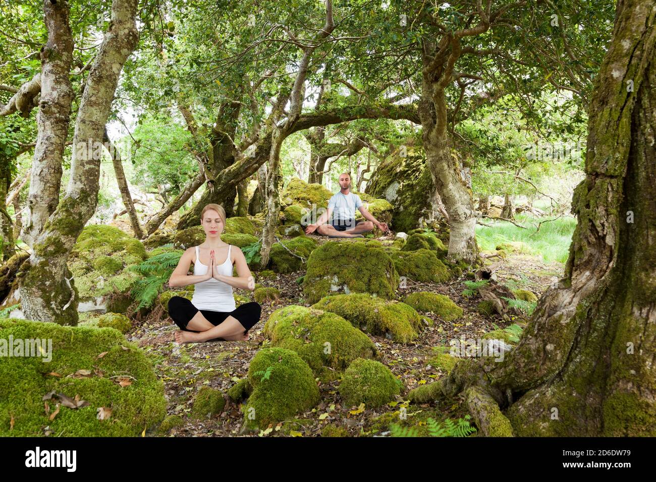 Meditazione nella foresta, Irlanda del Nord Foto Stock